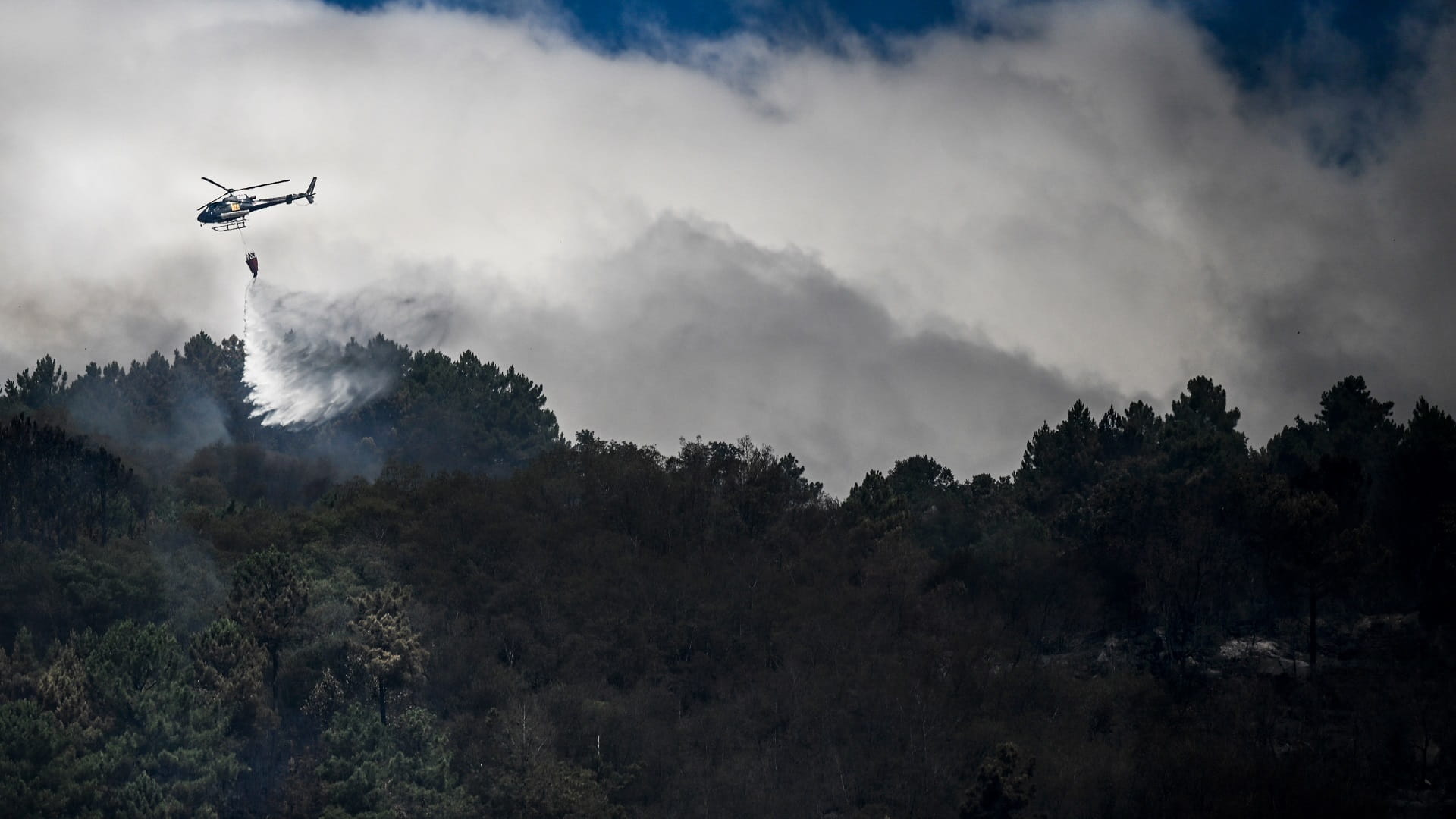 Image for the title: Portugal on alert over fears of fresh wildfire threat 