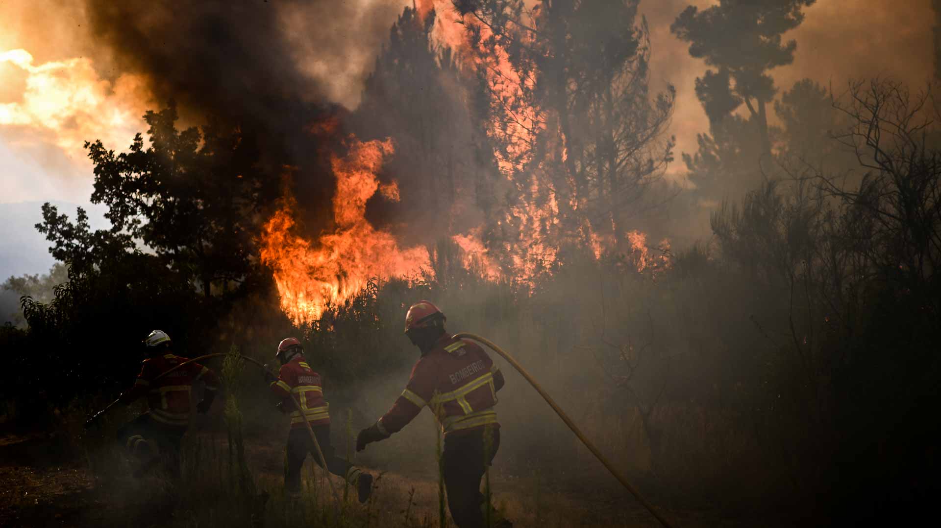 Image for the title: Evacuation orders lifted as Spain wildfire stabilised 