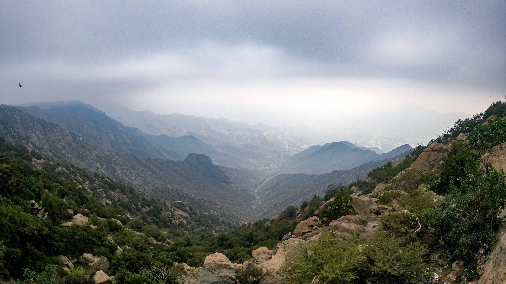 Image for the title: Sweltering Saudis escape to mountainous 'City of Fog' 