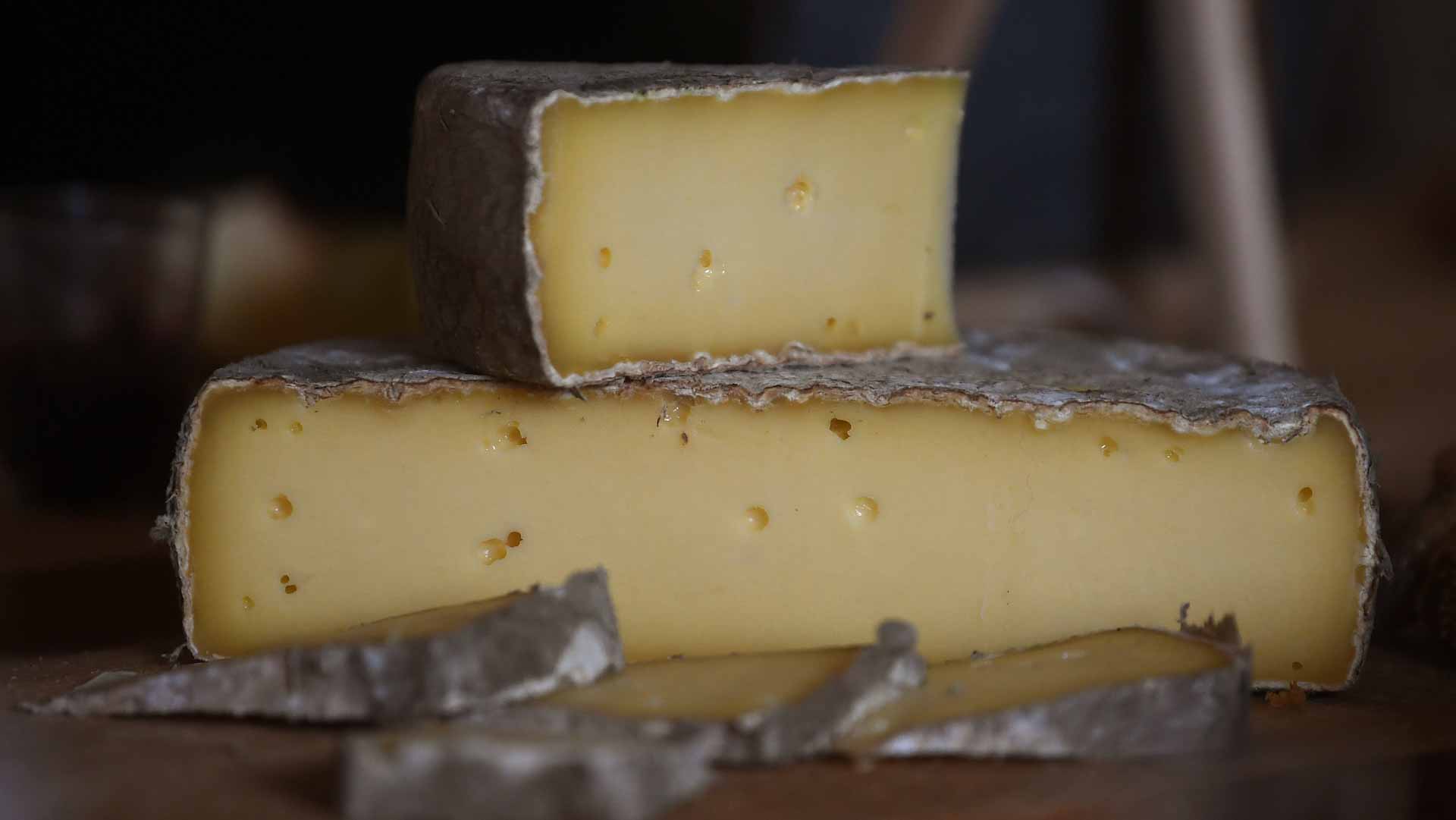 Image for the title: Dry summer puts squeeze on French Alps cheese 