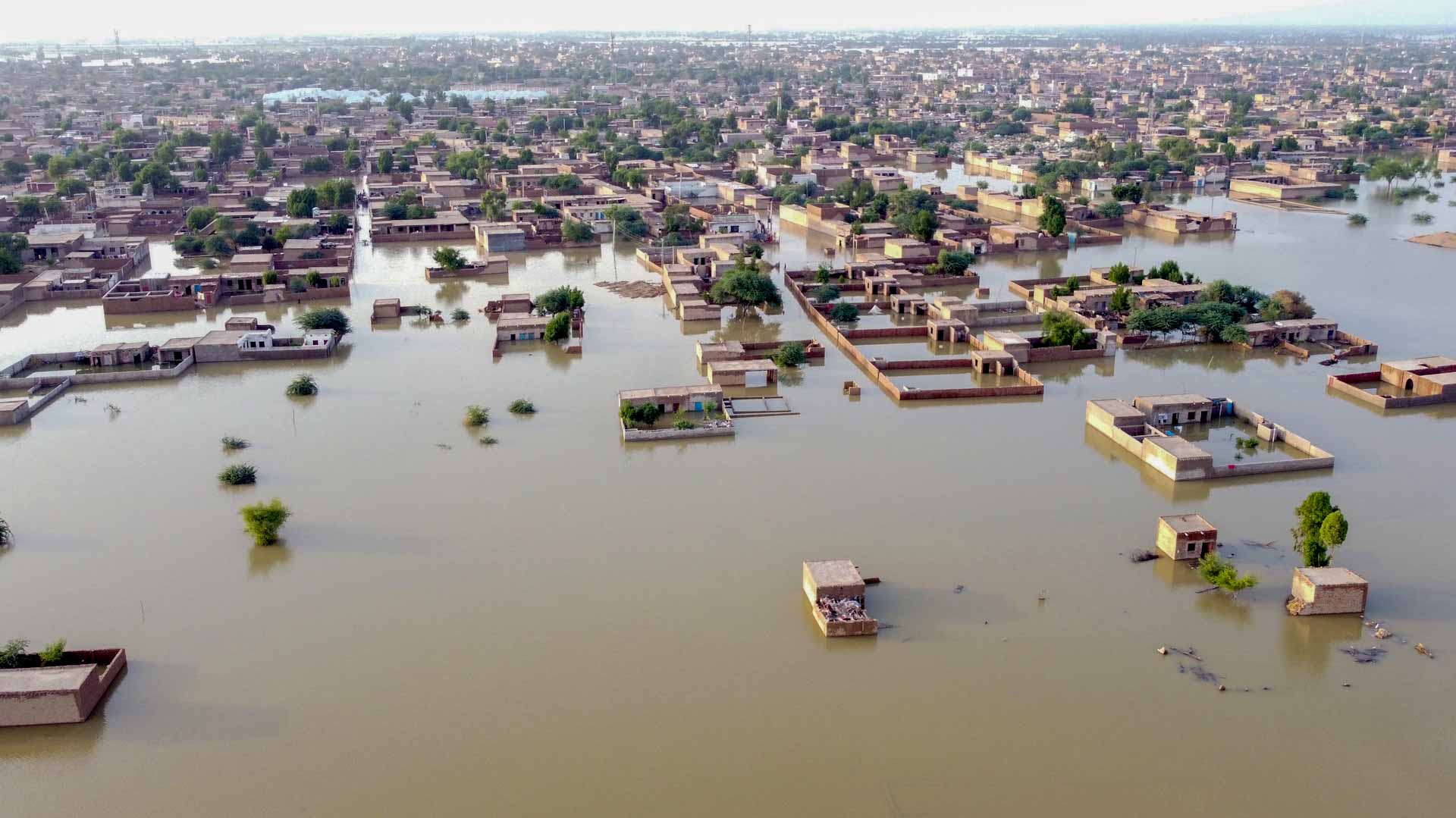 Image for the title: 'Third' of Pakistan under water as flood aid efforts gather pace 