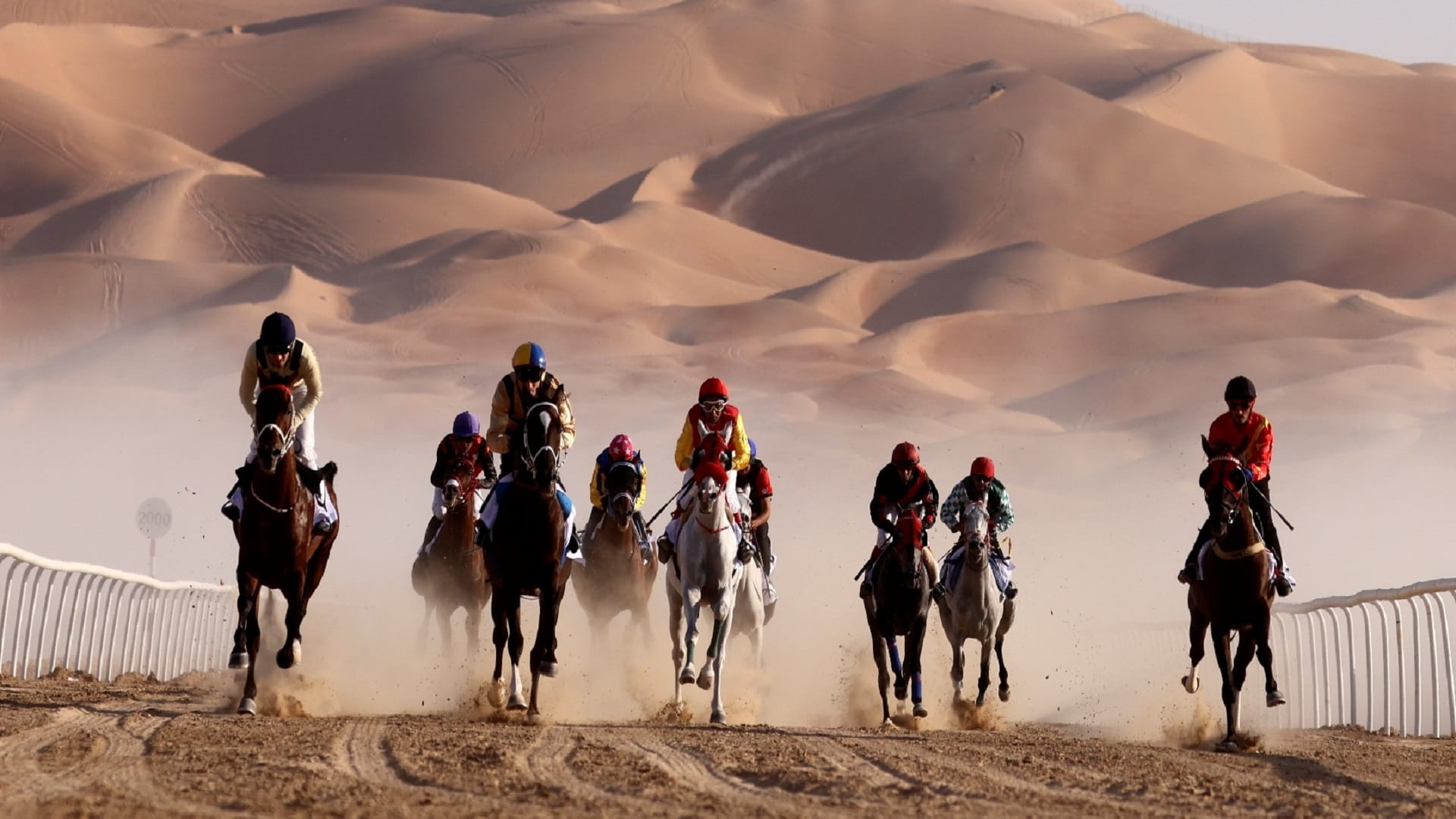 صورة بعنوان: سباق الخيول يرفع وتيرة الحماس في مهرجان ليوا الدولي 