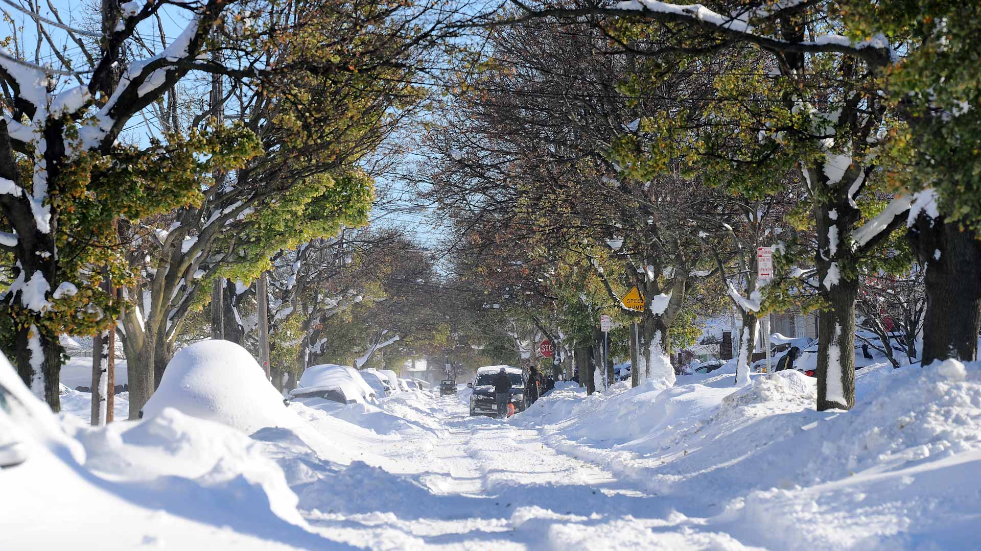 Image for the title: Airlines cancel 2,000 US flights on Saturday over winter storm 