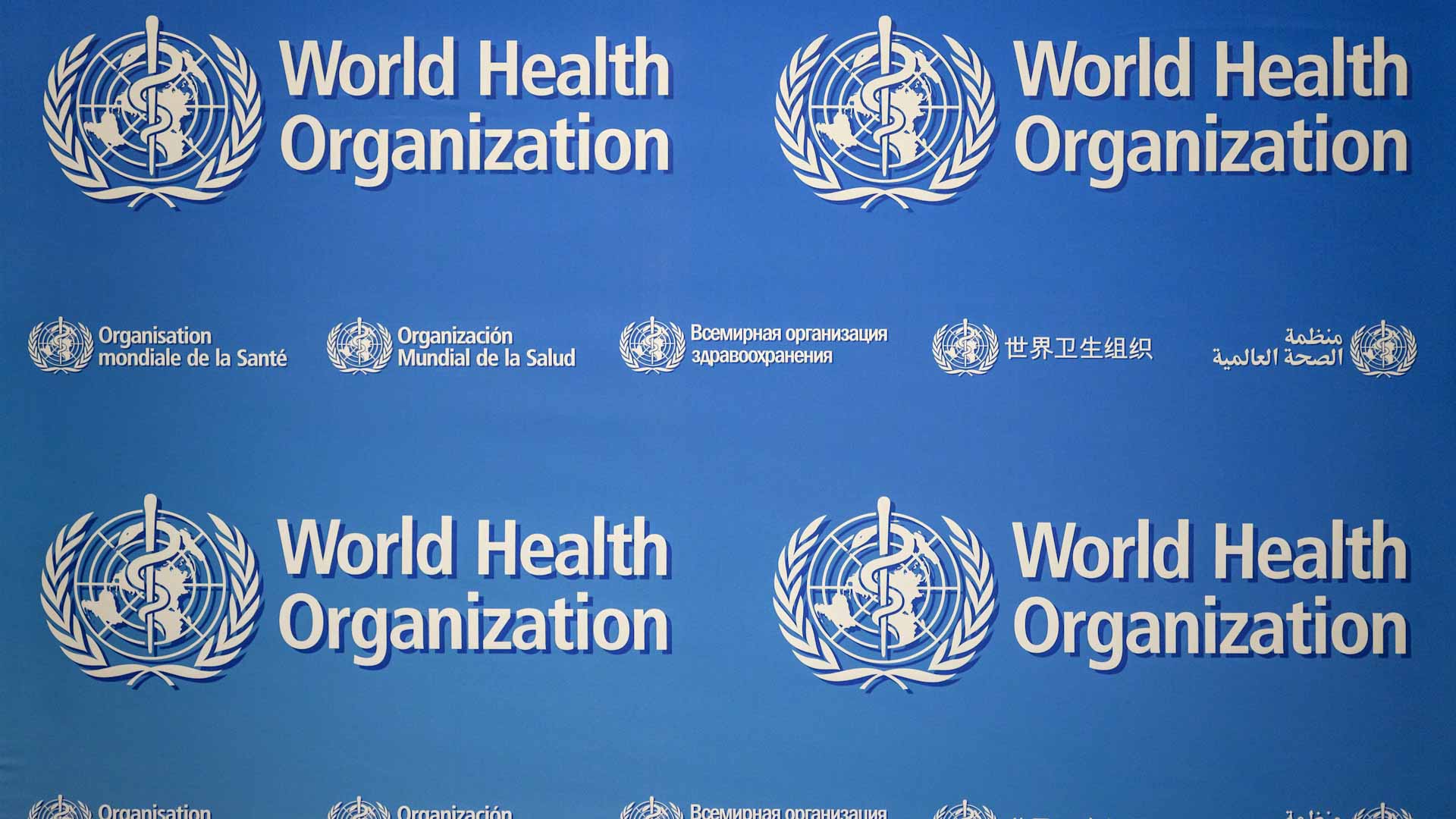 Image for the title: WHO warns of Covid medical waste threat 
