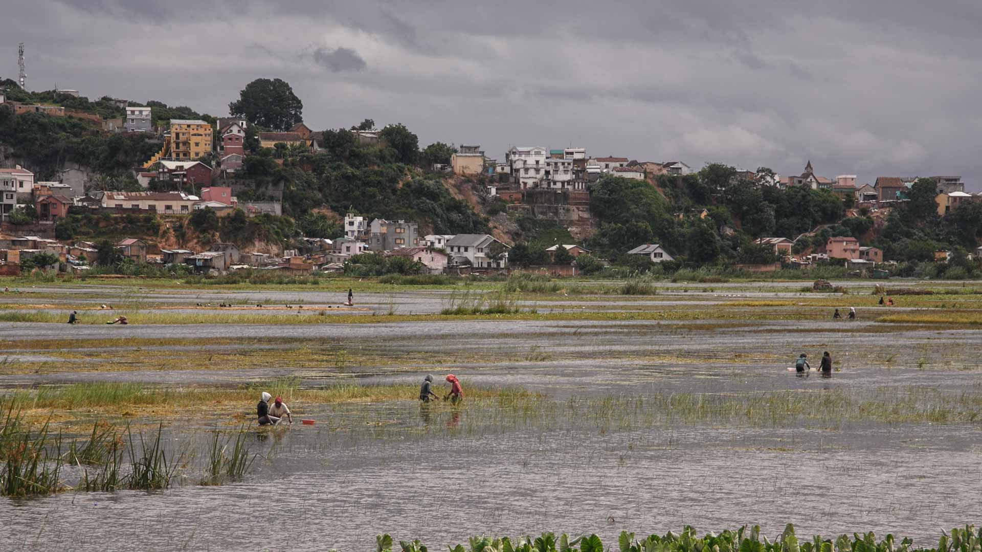 Image for the title: Batsirai destroys homes and knocks out power in Madagascar 