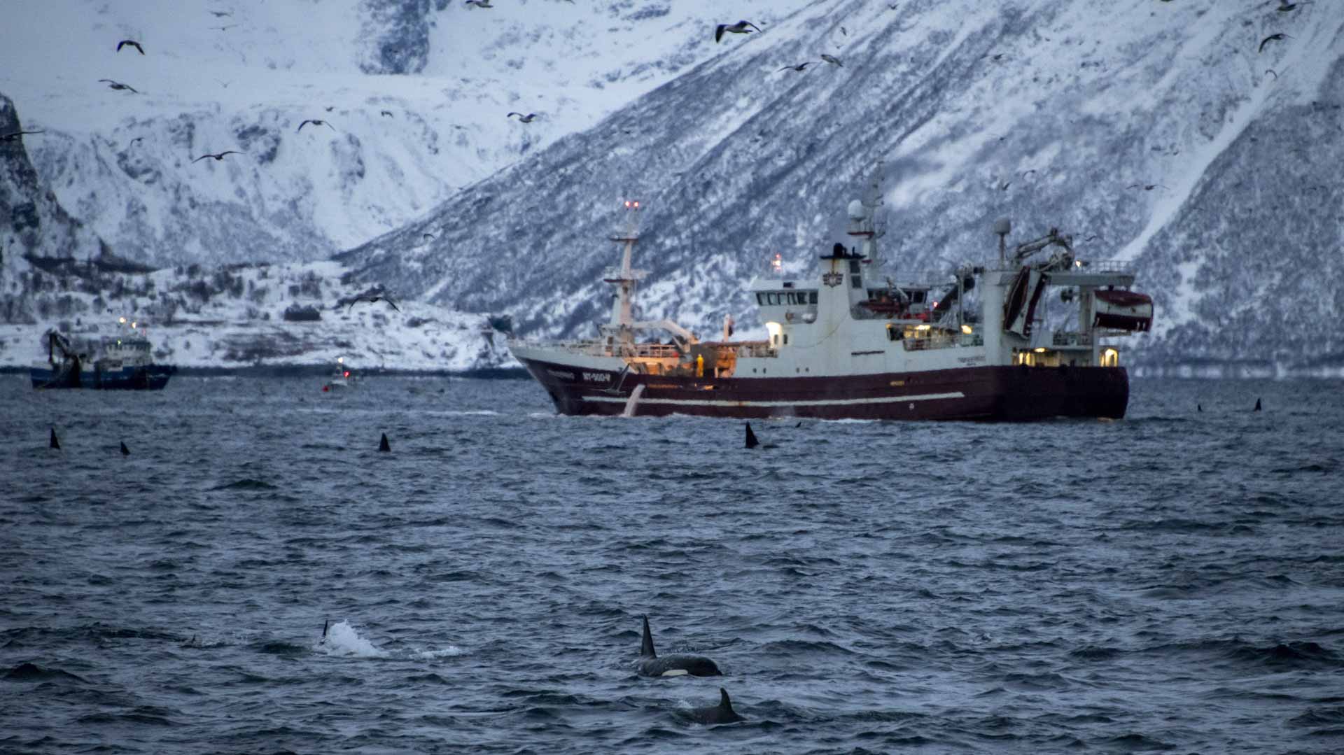 Image for the title: 10 dead, 11 missing as Spanish trawler sinks off Canada 