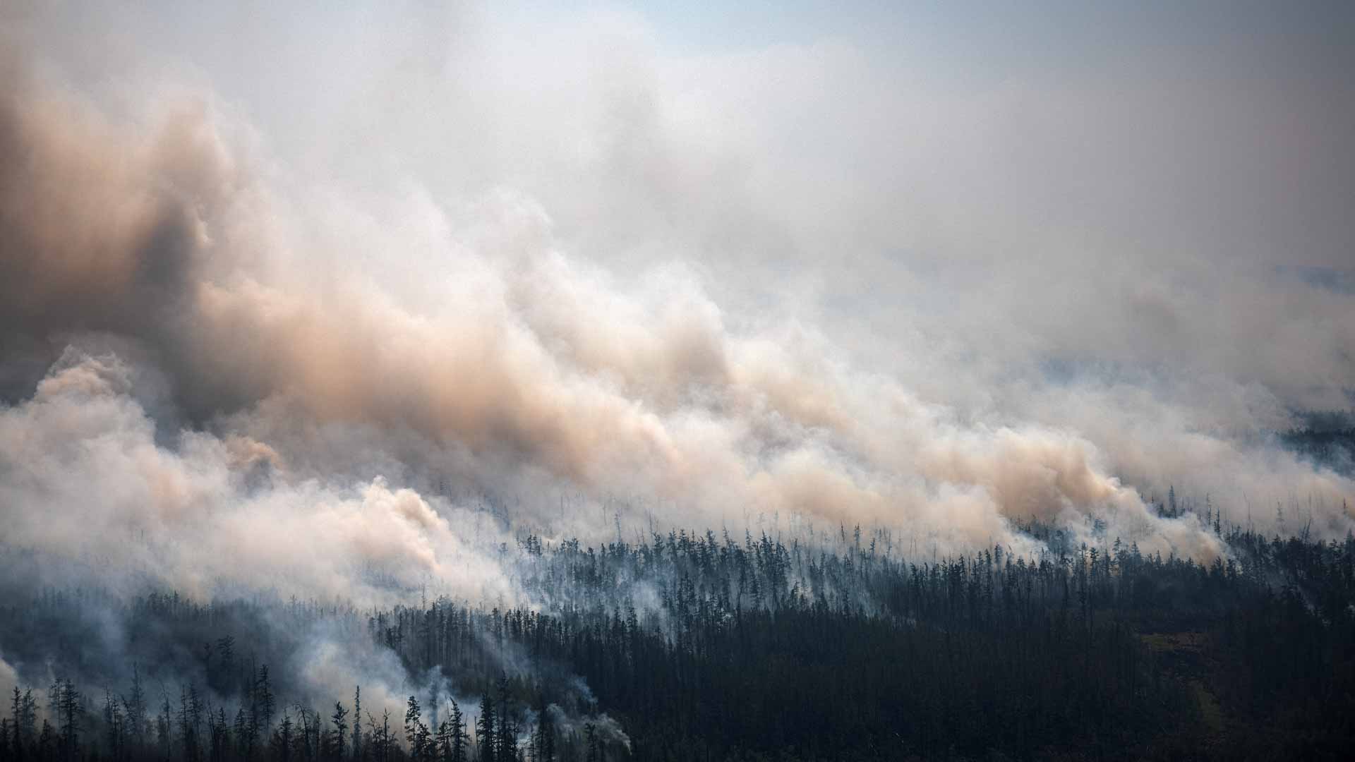 Image for the title: World must brace for more extreme wildfires: UN 