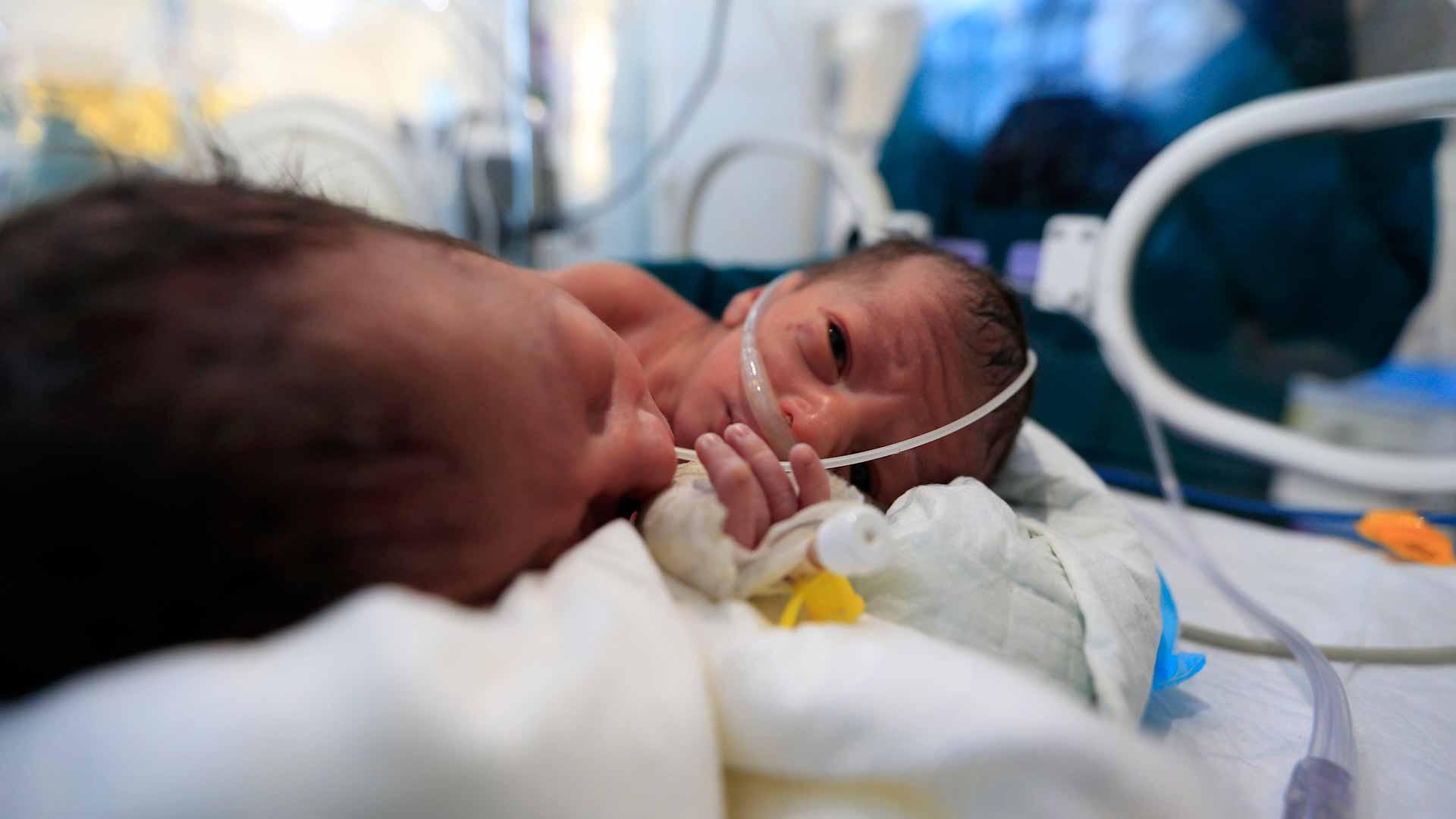 Image for the title: California twins born in different years 