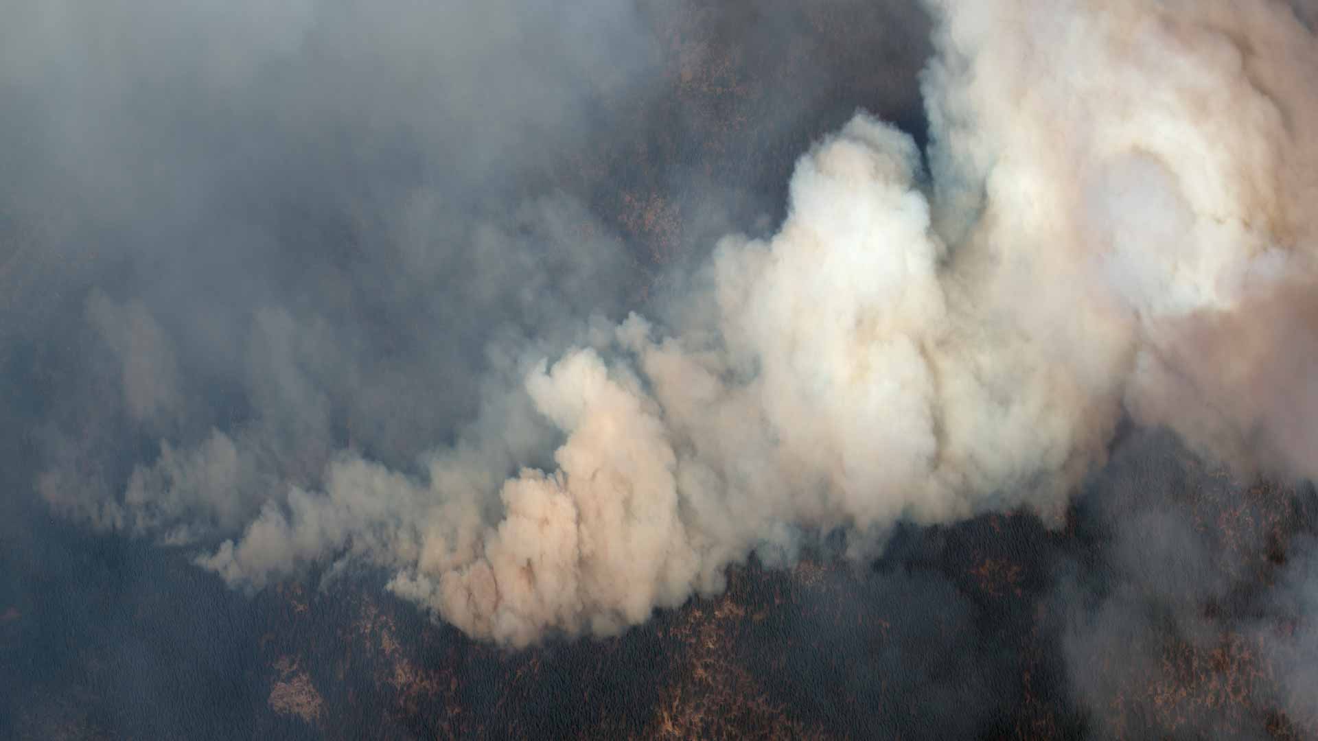 Image for the title: Firefighters control wildfire that closed California highway 