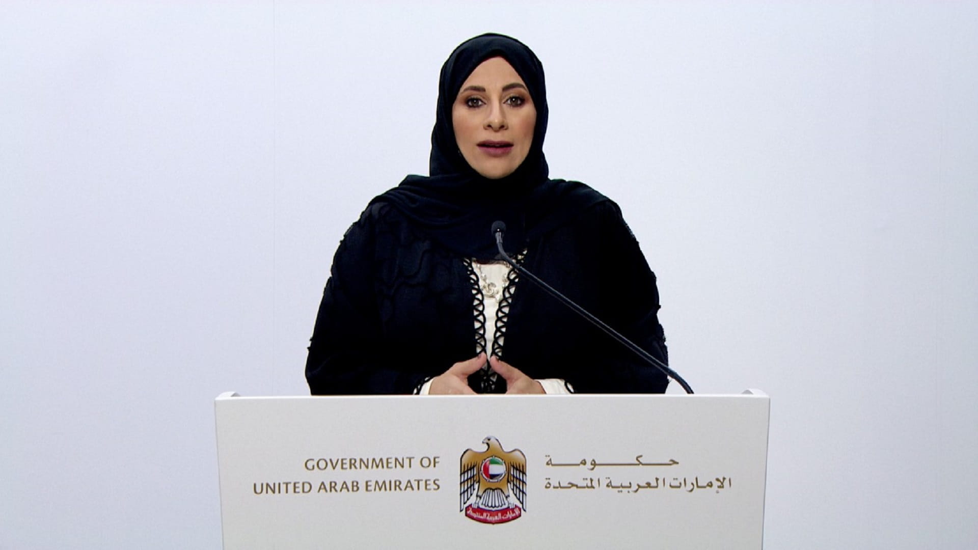 Image for the title: Media briefing: UAE a distinguished model of containing variants 