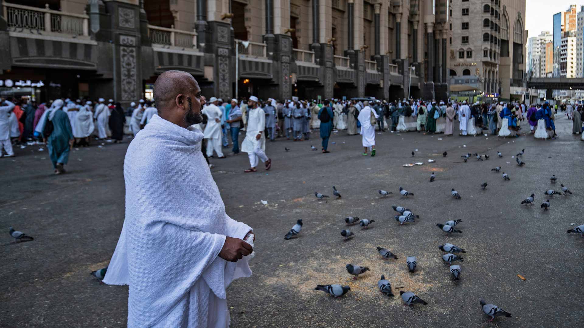 Image for the title: Arrival of pilgrims benefiting from Makkah initiative completed 