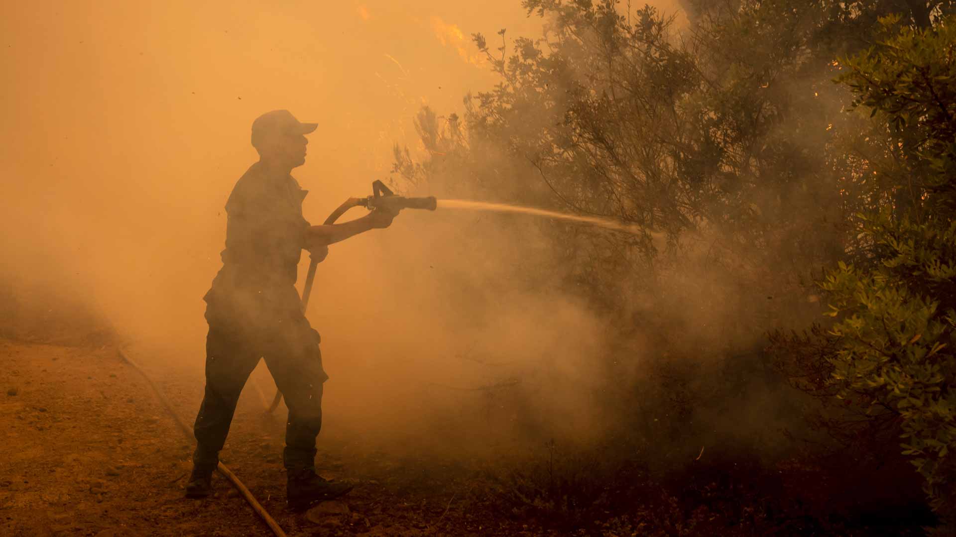 Image for the title: Forest fires contained in Morocco 