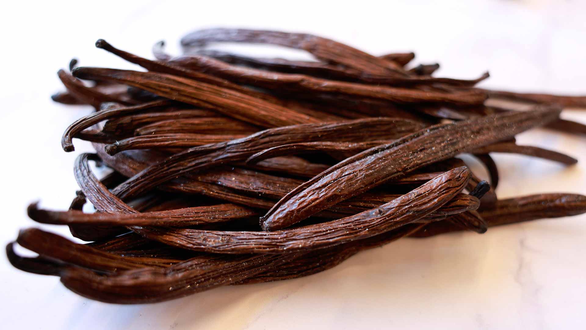 Image for the title: Vanilla spice: arid Israel produces potent tropical pods