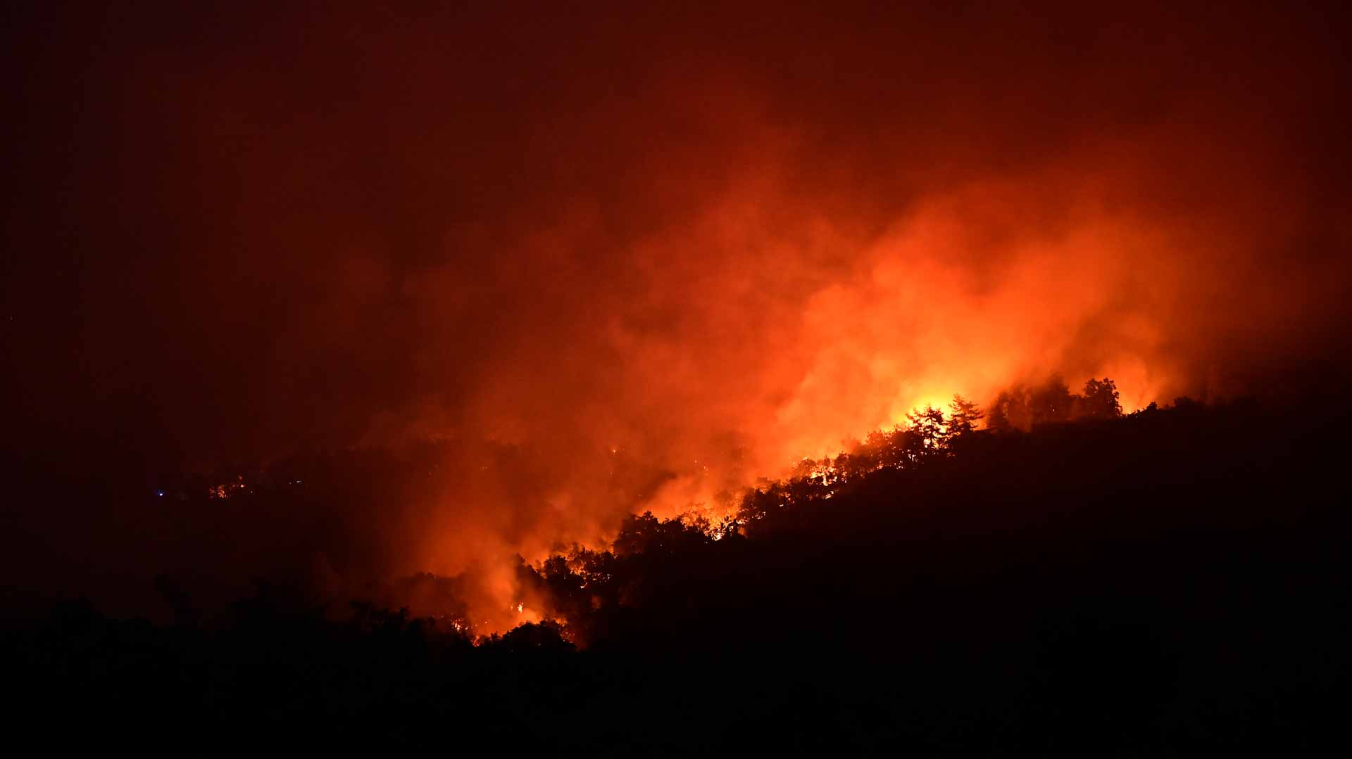 Image for the title: Greek firefighters battle inferno disaster at natural park 