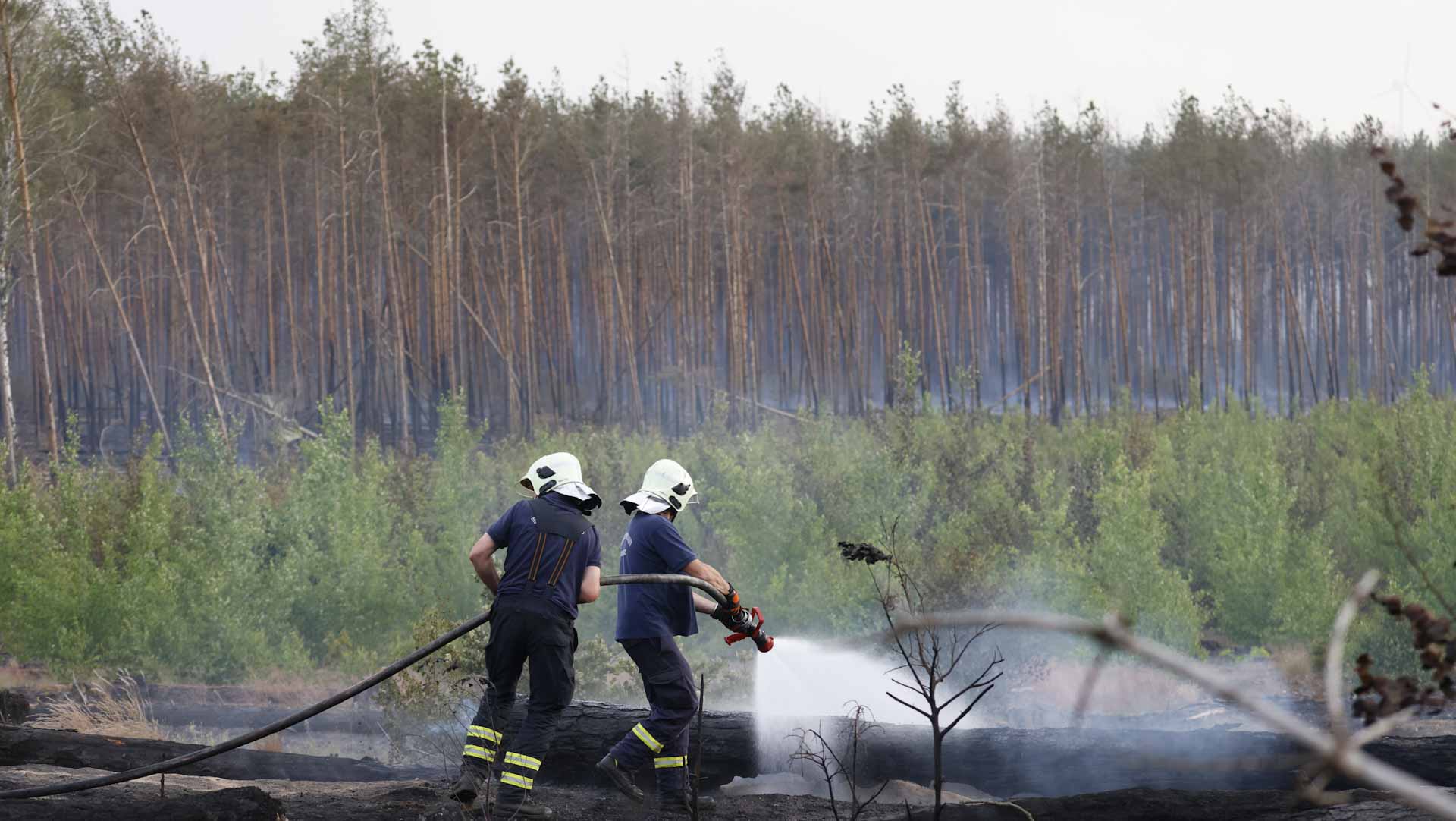 Image for the title: Forest fire in Germany now 'major incident' covering 800 hectares 