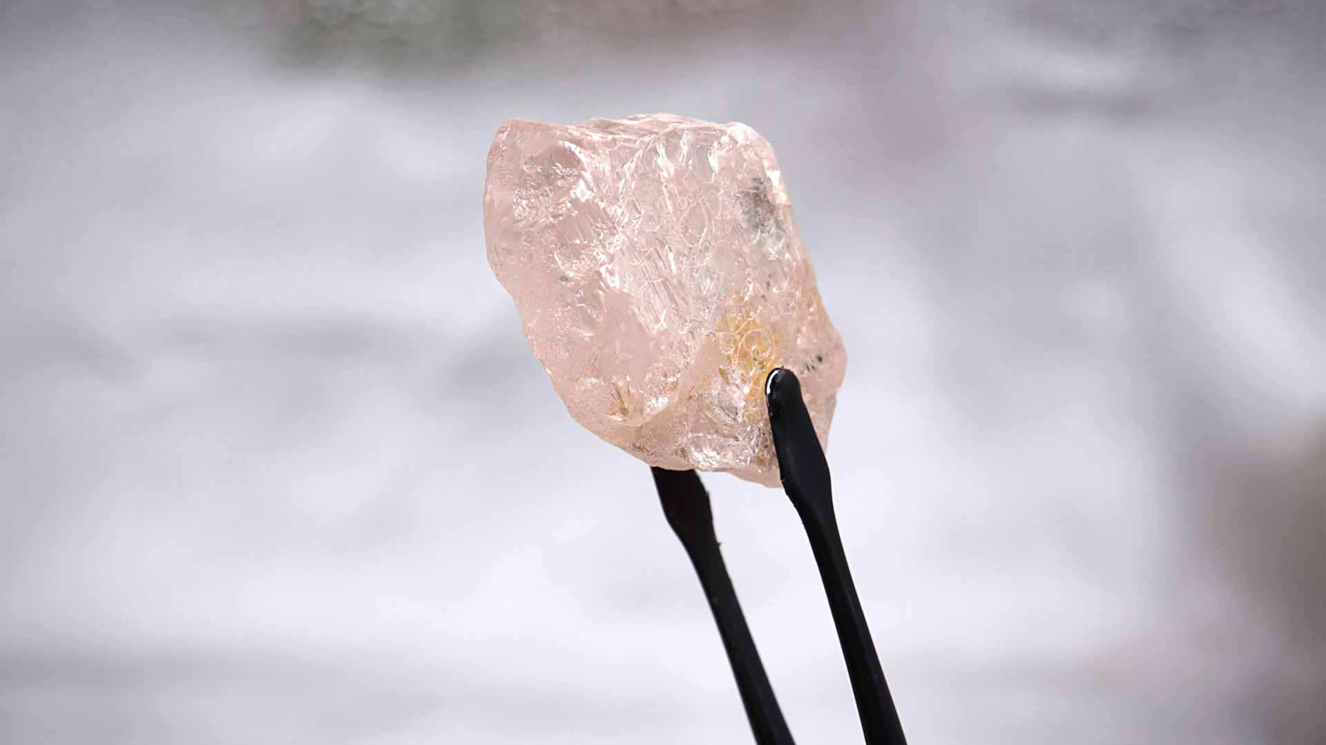 Image for the title: Pink diamond believed to be largest seen in 300 years 