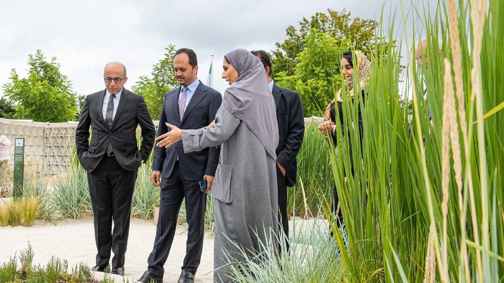 Image for the title: UAE marks Int’l Day for Conservation of Mangrove Ecosystem 