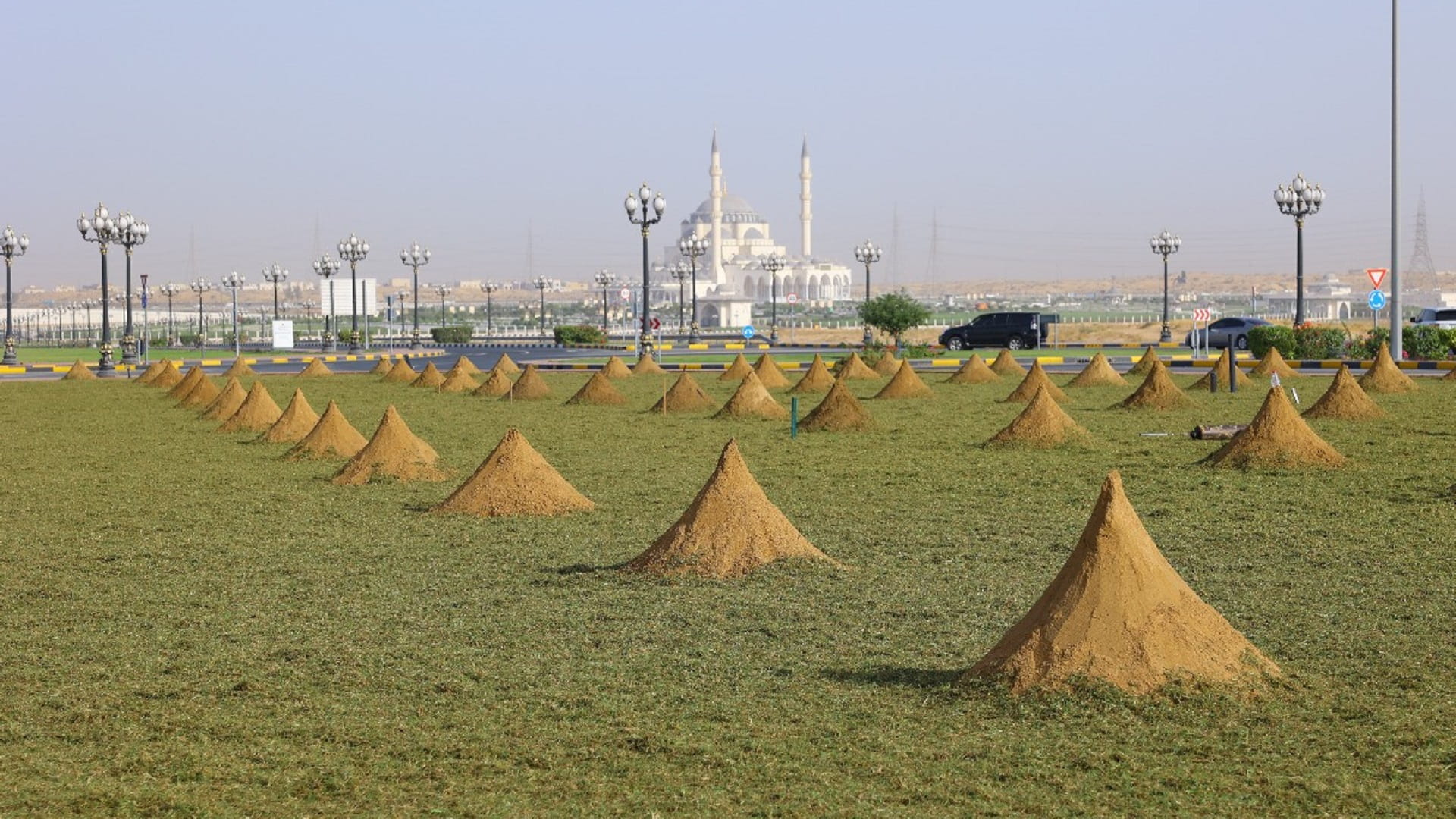 Image for the title: SM begins agricultural work for 2nd phase of Mleiha Road 