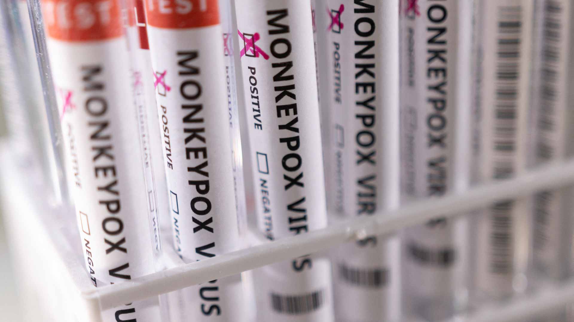 Image for the title: EU signs deal with Bavarian Nordic for supply monkeypox vaccines 