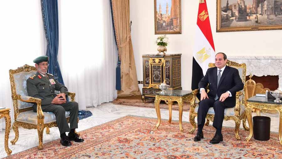 Image for the title: Egyptian President receives Chief of Staff of UAE Armed Forces 