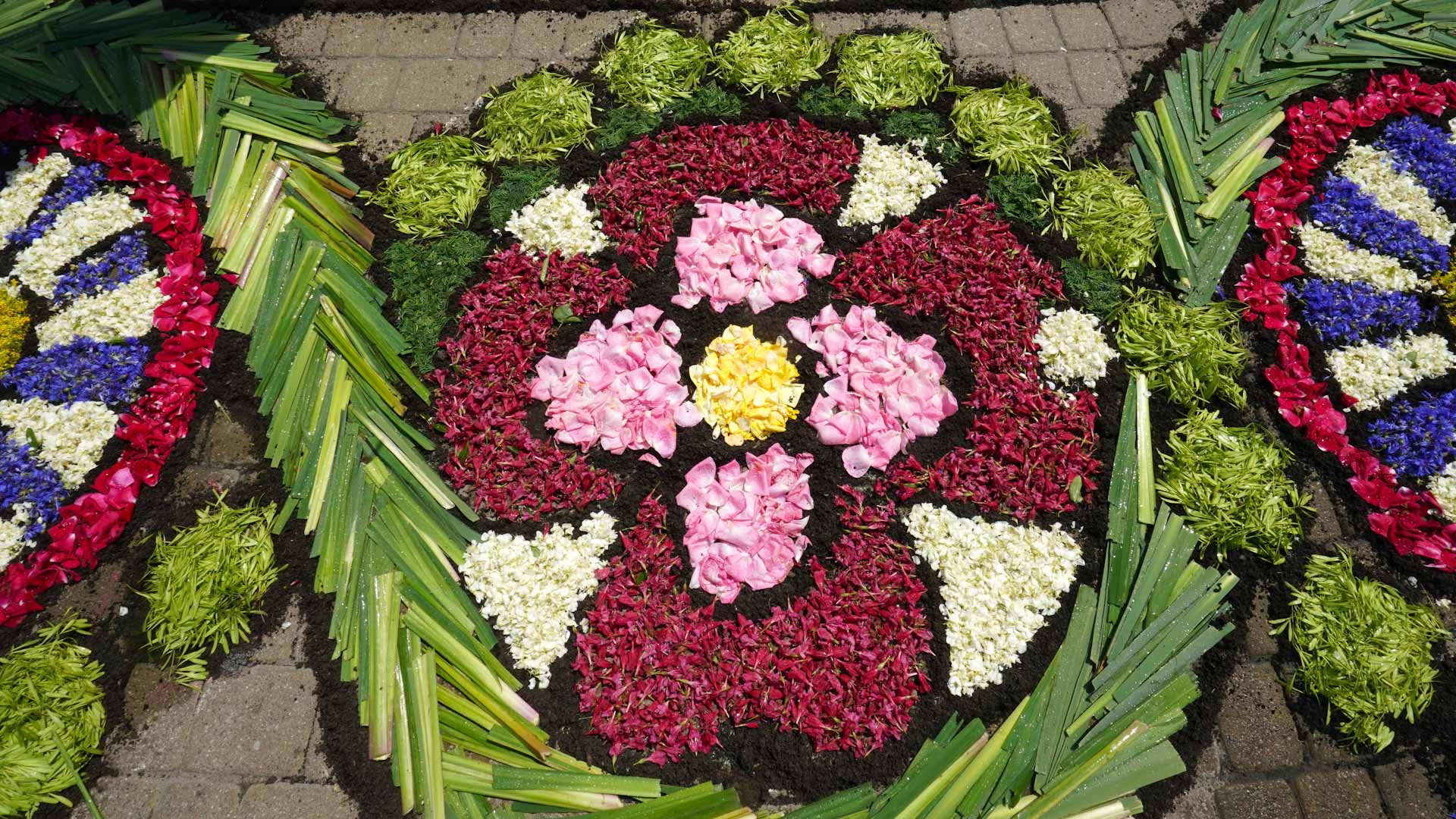 Image for the title: Poles carpet streets with flowers for Corpus Christi 