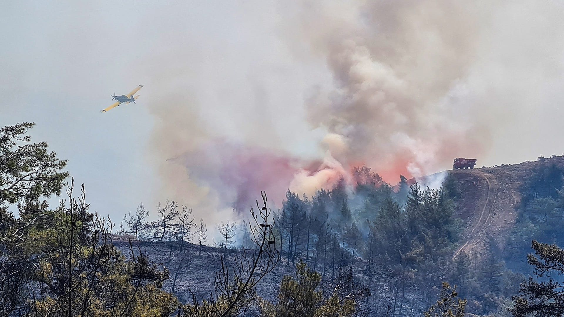 Image for the title: Wildfire in Turkey rages on, dashing hopes it was contained 