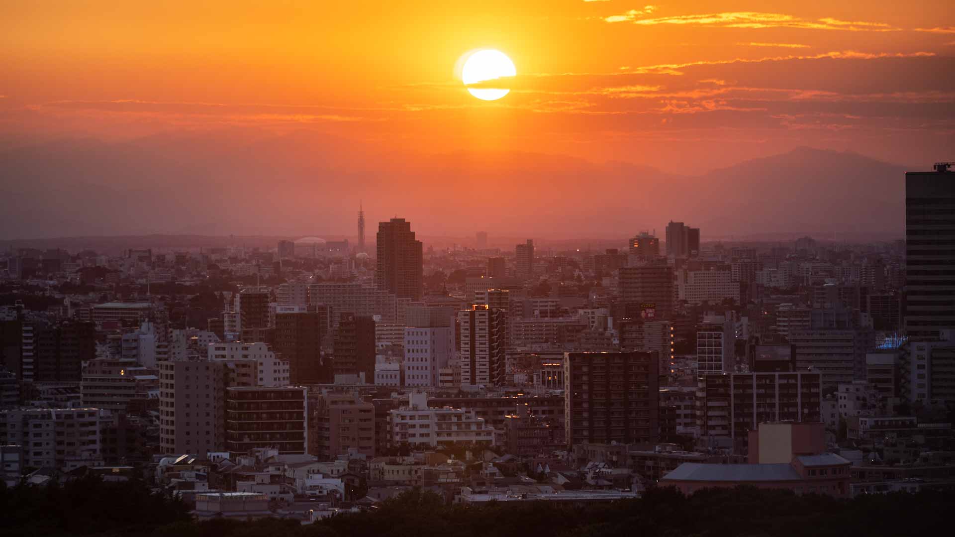 Image for the title: Japan swelters as heatwave prompts power crunch warning 