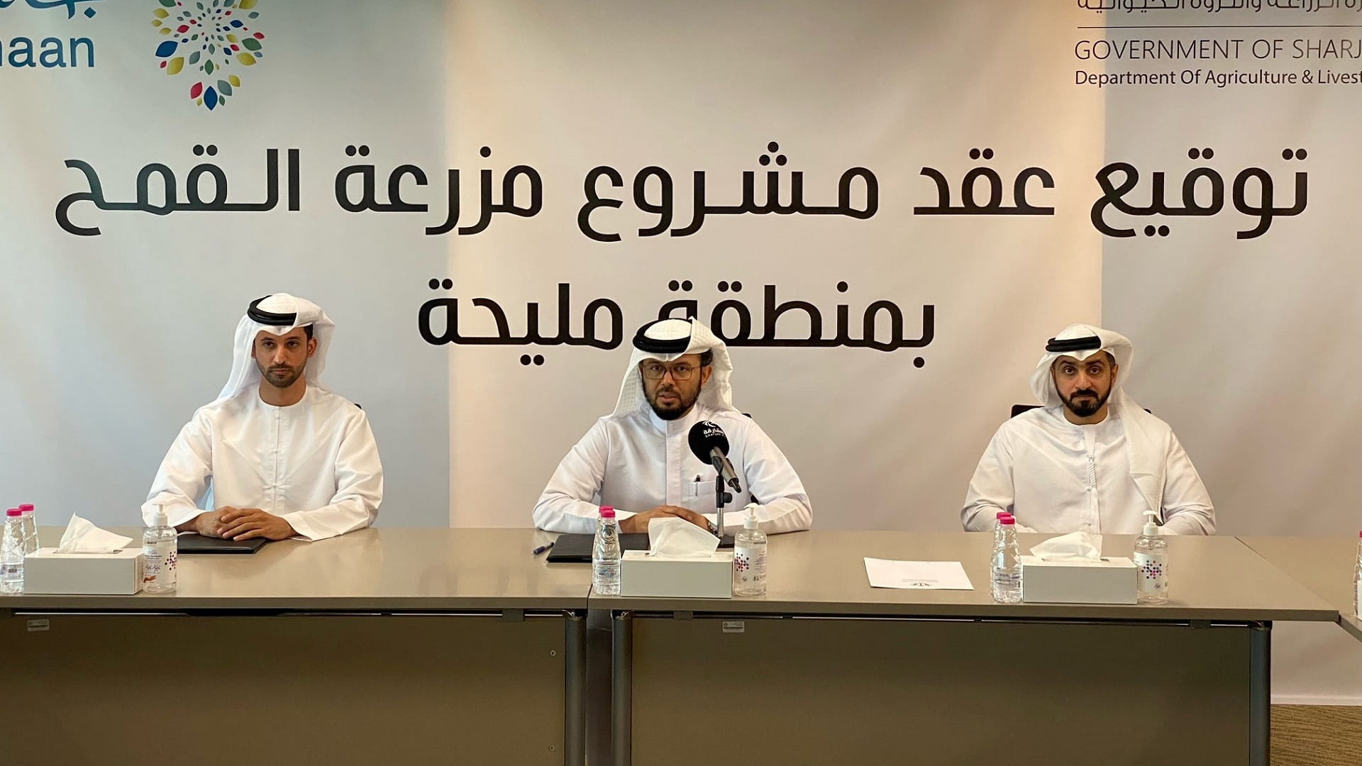 Image for the title: DALR, Jenaan Investment Co cooperate to operate Mleiha wheat farm 