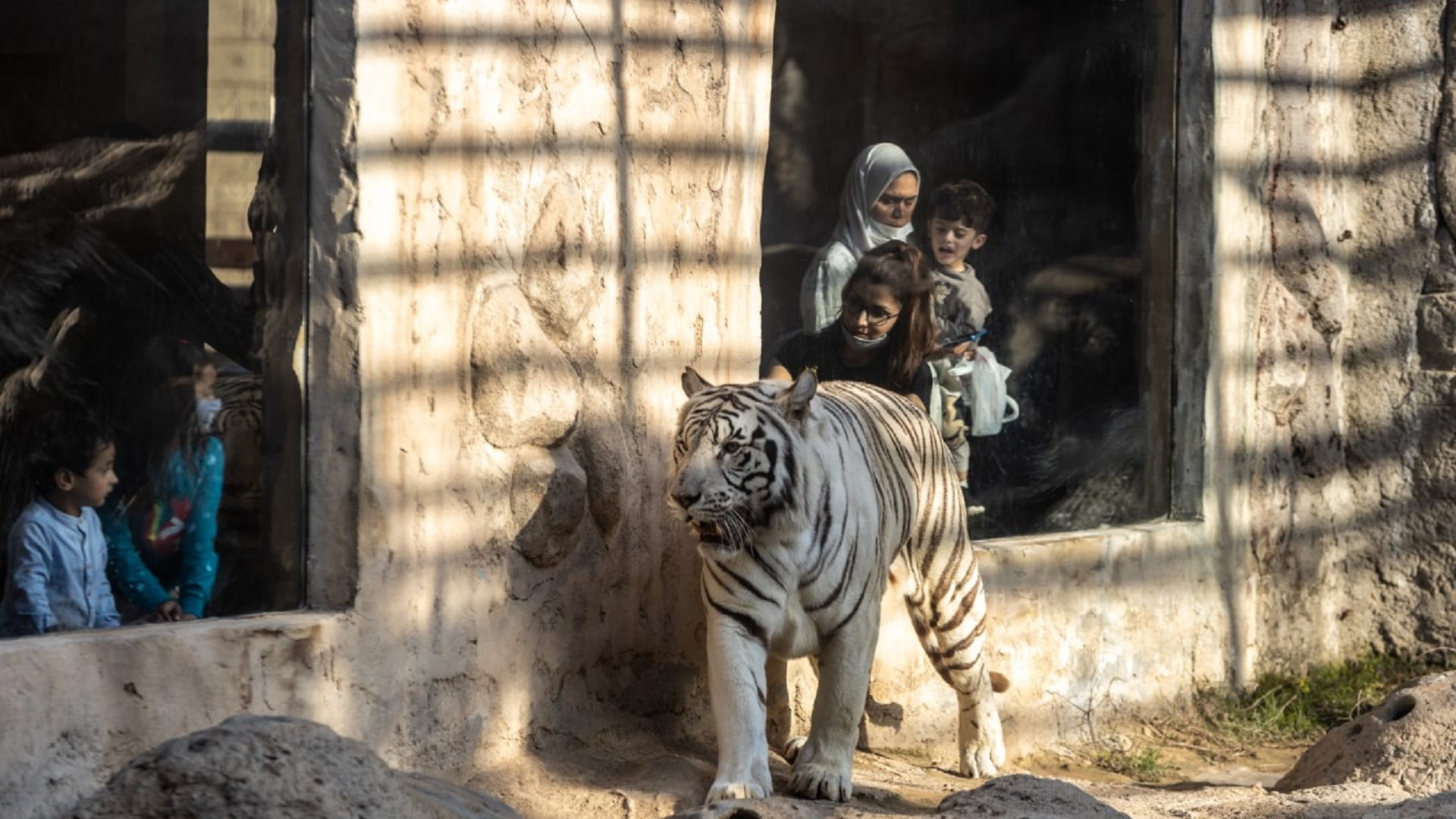Image for the title: Emirates Park Zoo offers over 42 educational programmes 