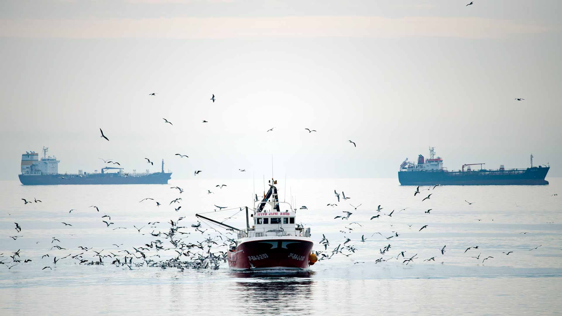 Image for the title: South Korea seizes North Korea fishing boat that crossed border 