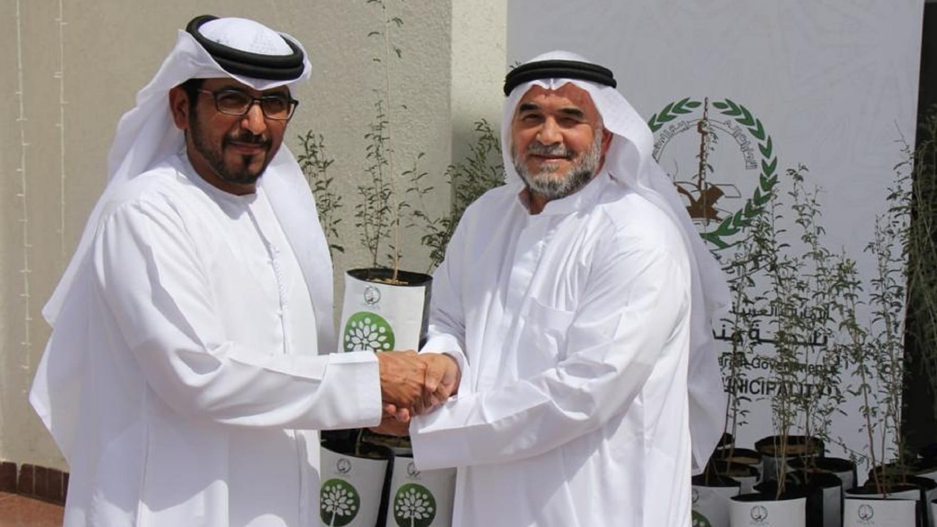 Image for the title: Al Bataeh Municipality organises Ghaf trees campaign 