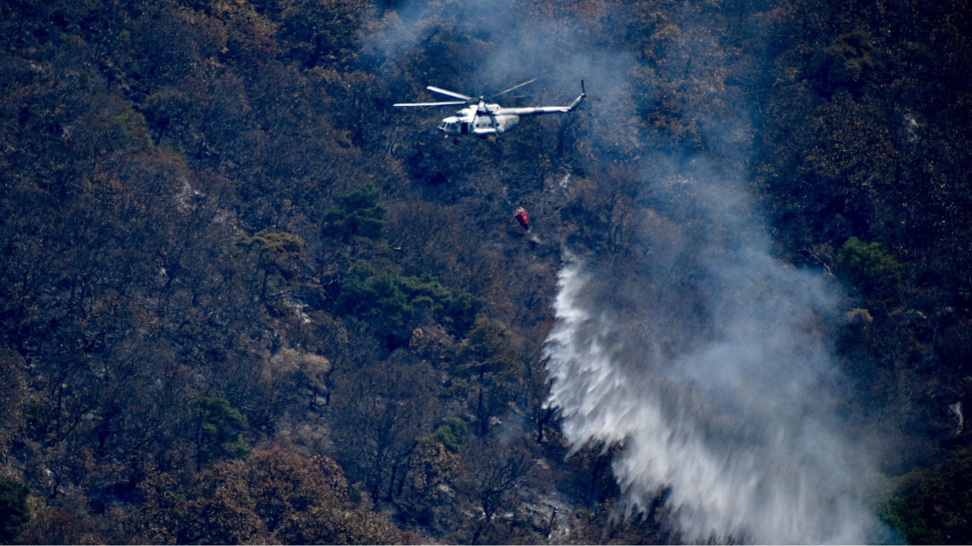 Image for the title: Strong winds could push New Mexico fire toward mountain town 