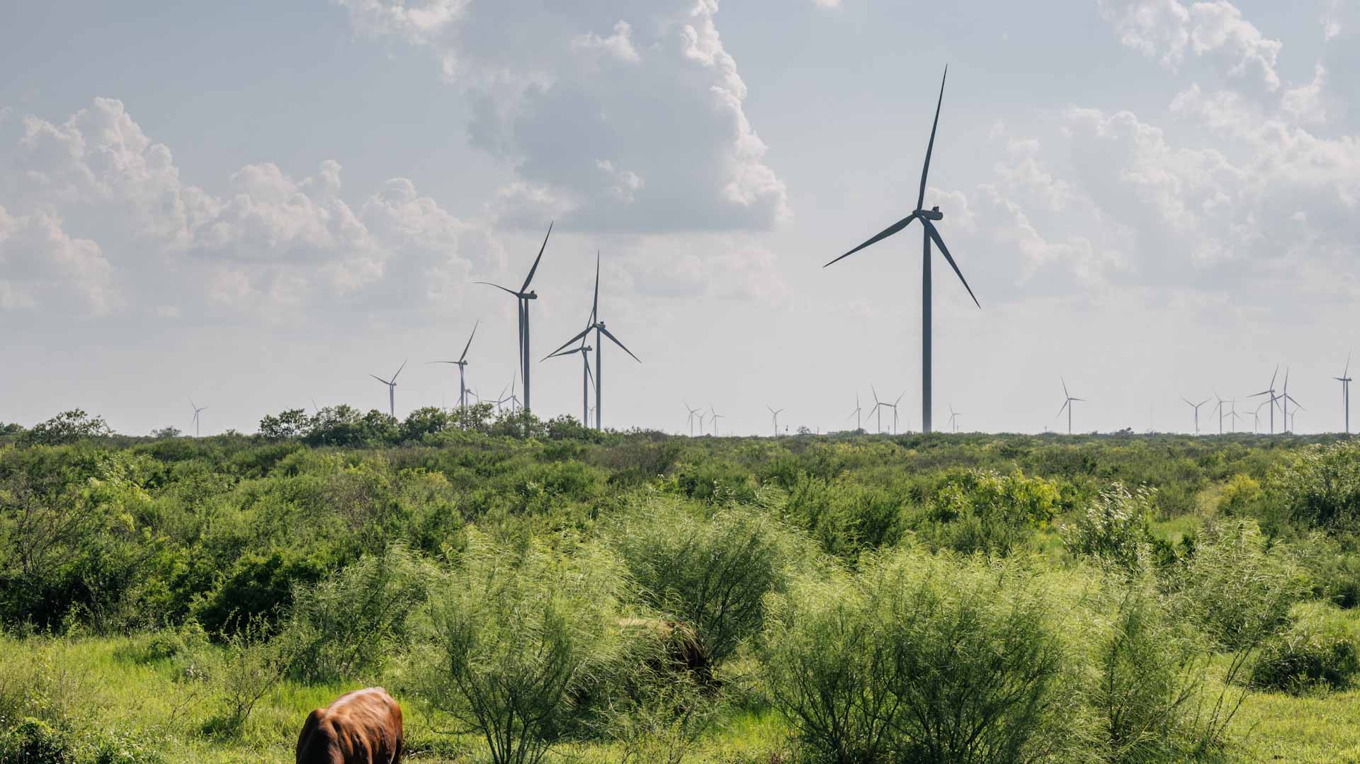 Image for the title: Texas heatwave to test power grid again this week 