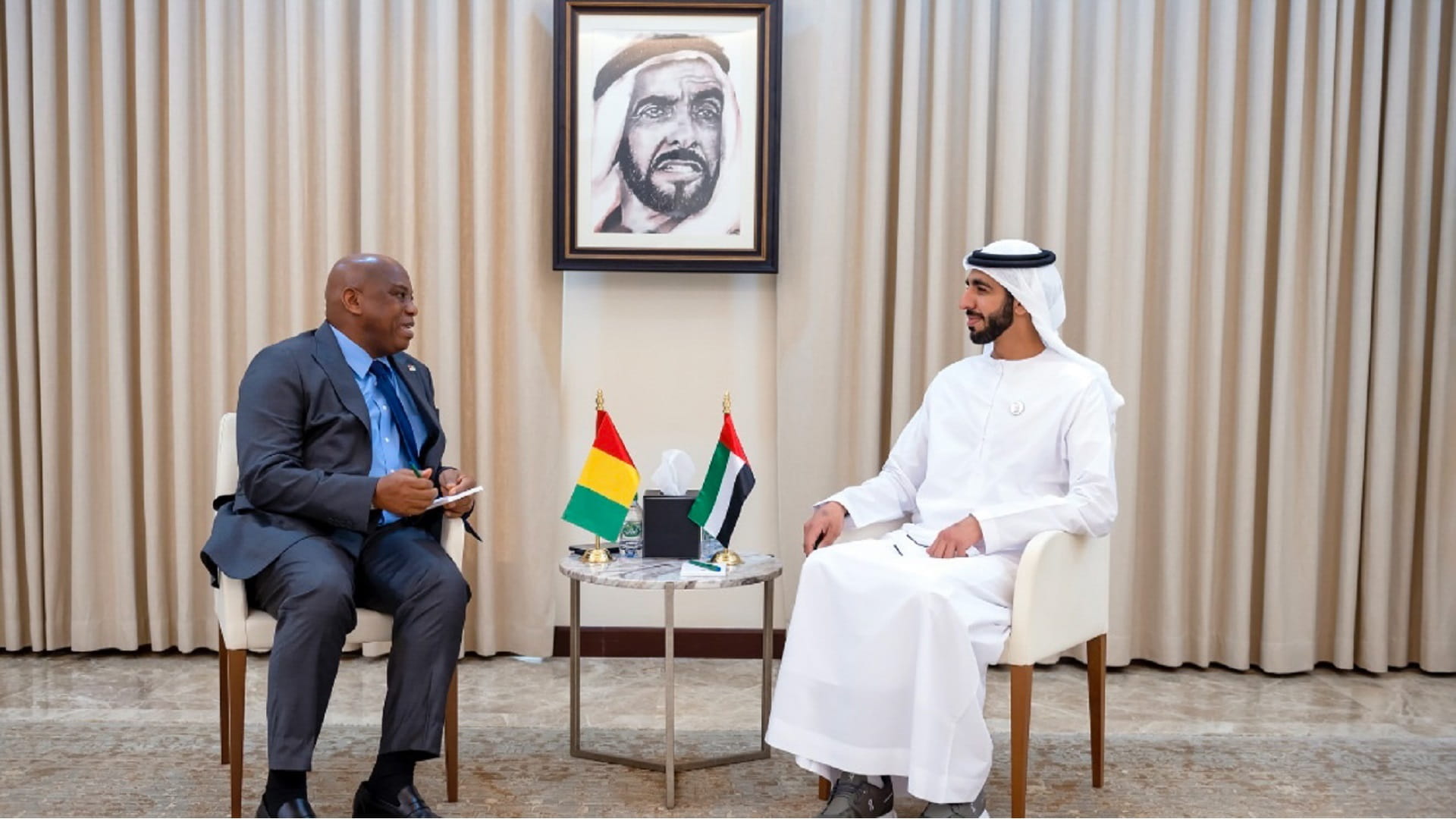 Image for the title: UAE, Guinea discuss boosting bilateral ties 