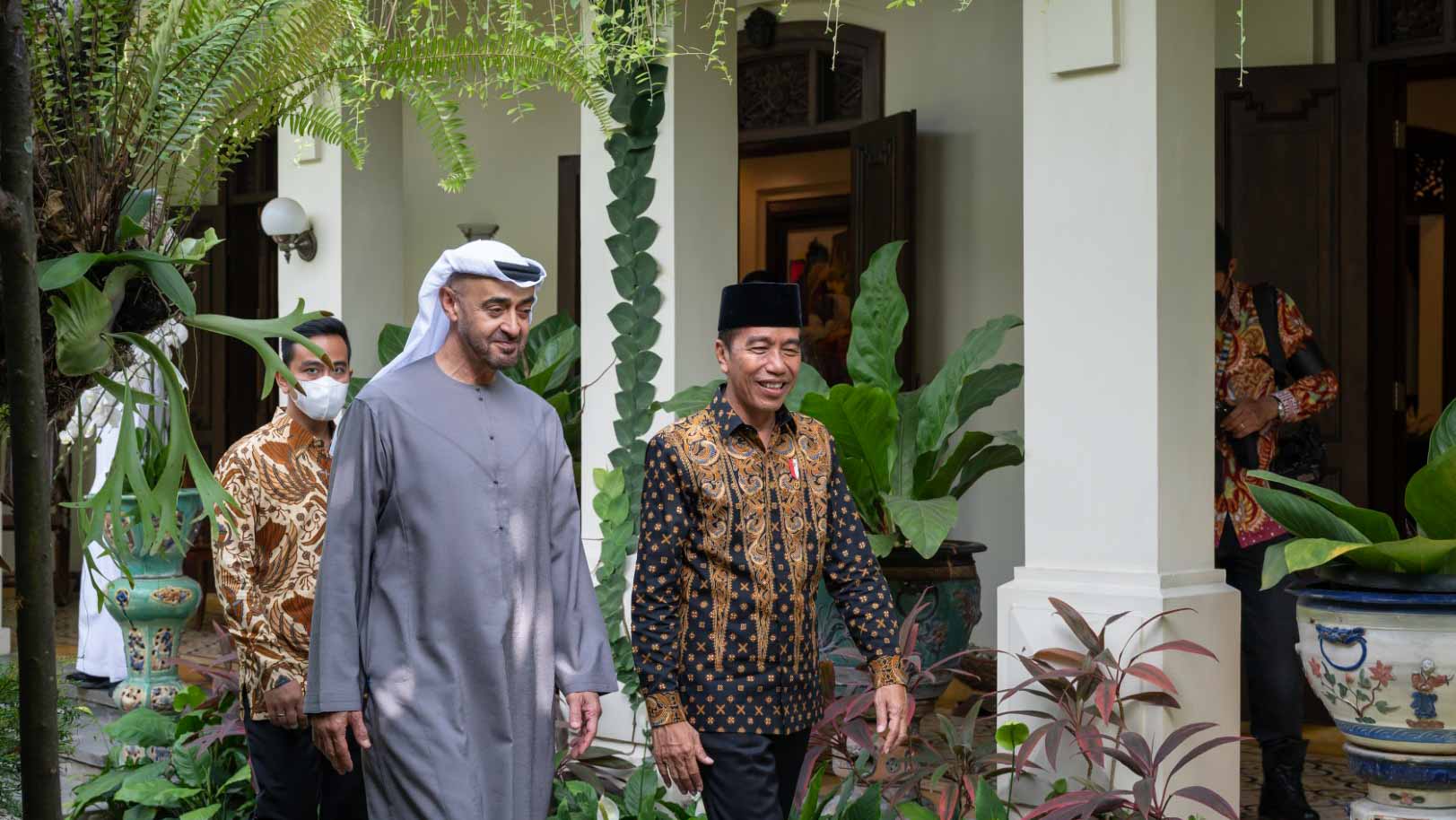 Image for the title: UAE, Indonesian Presidents to develop bilateral relations 