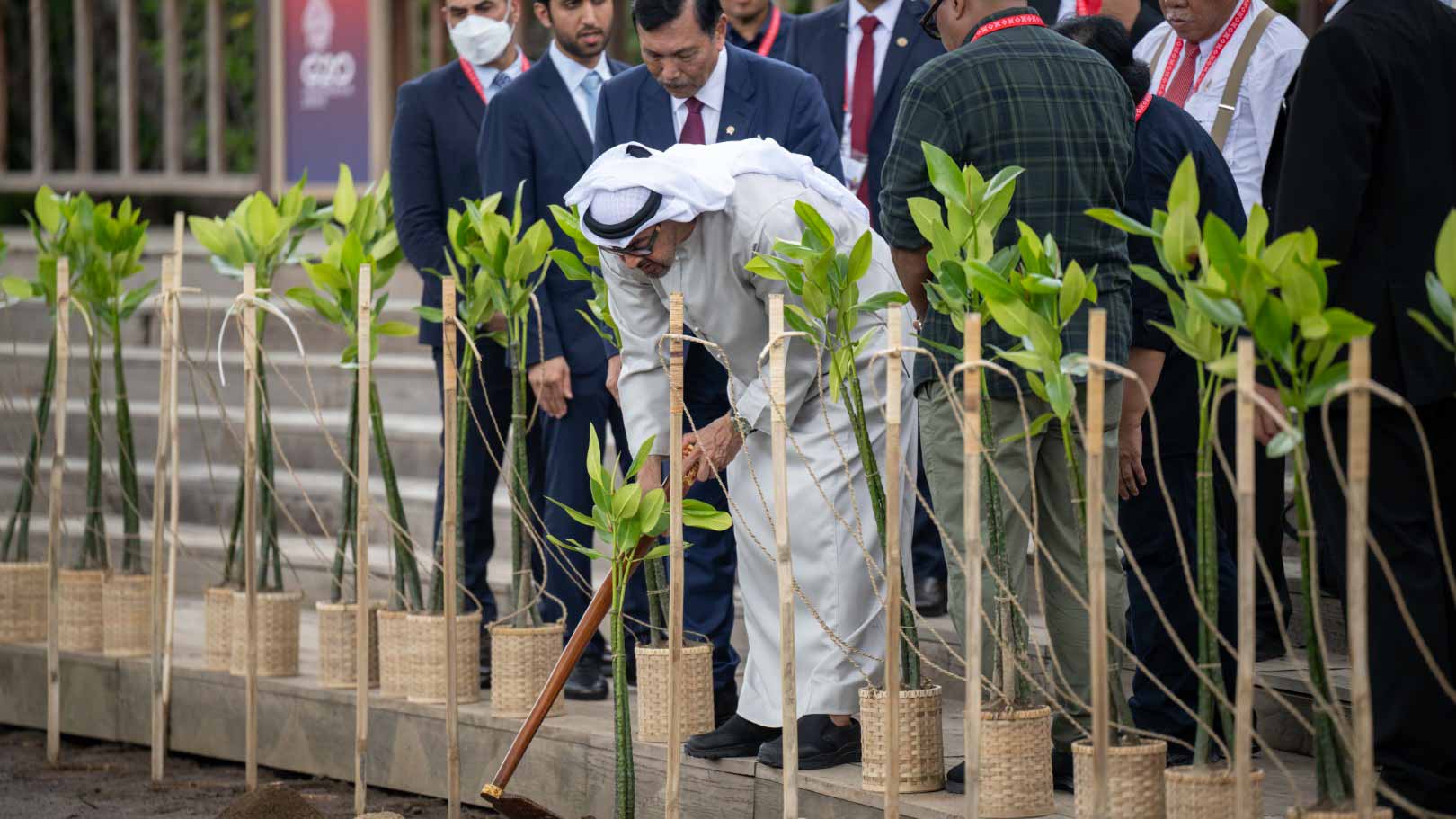 Image for the title: UAE President plants mangrove tree at Ngurah Rai Forest Park 