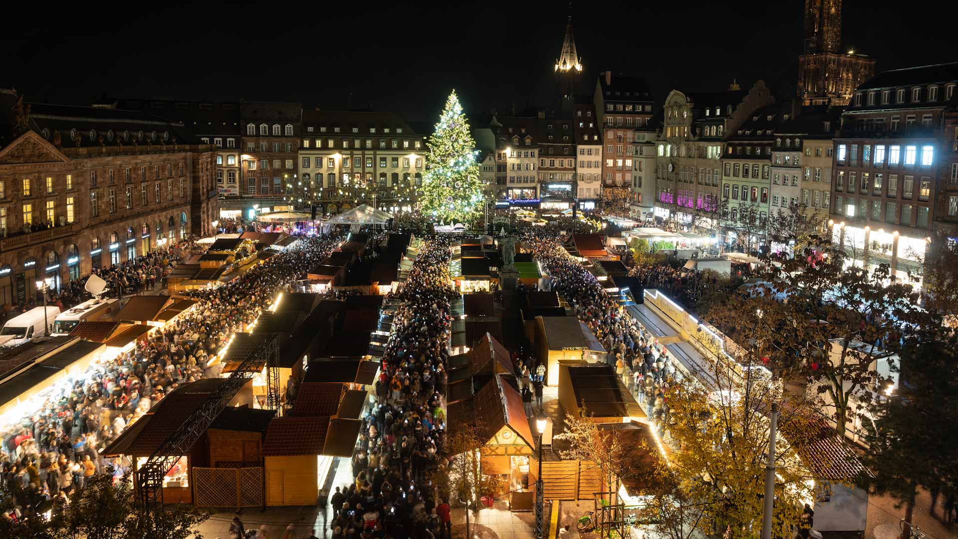 Image for the title: Santa lights giant Christmas tree in Danish capital 