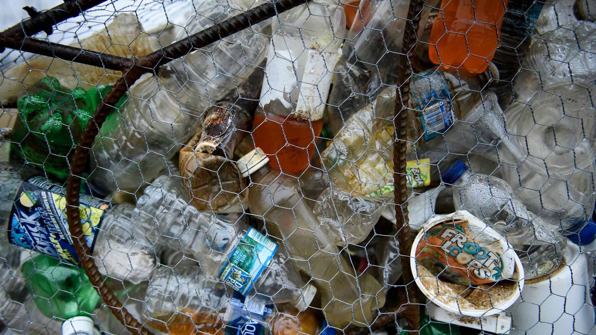 Image for the title: Greenpeace study: Recycling plastic is still a fantasy 