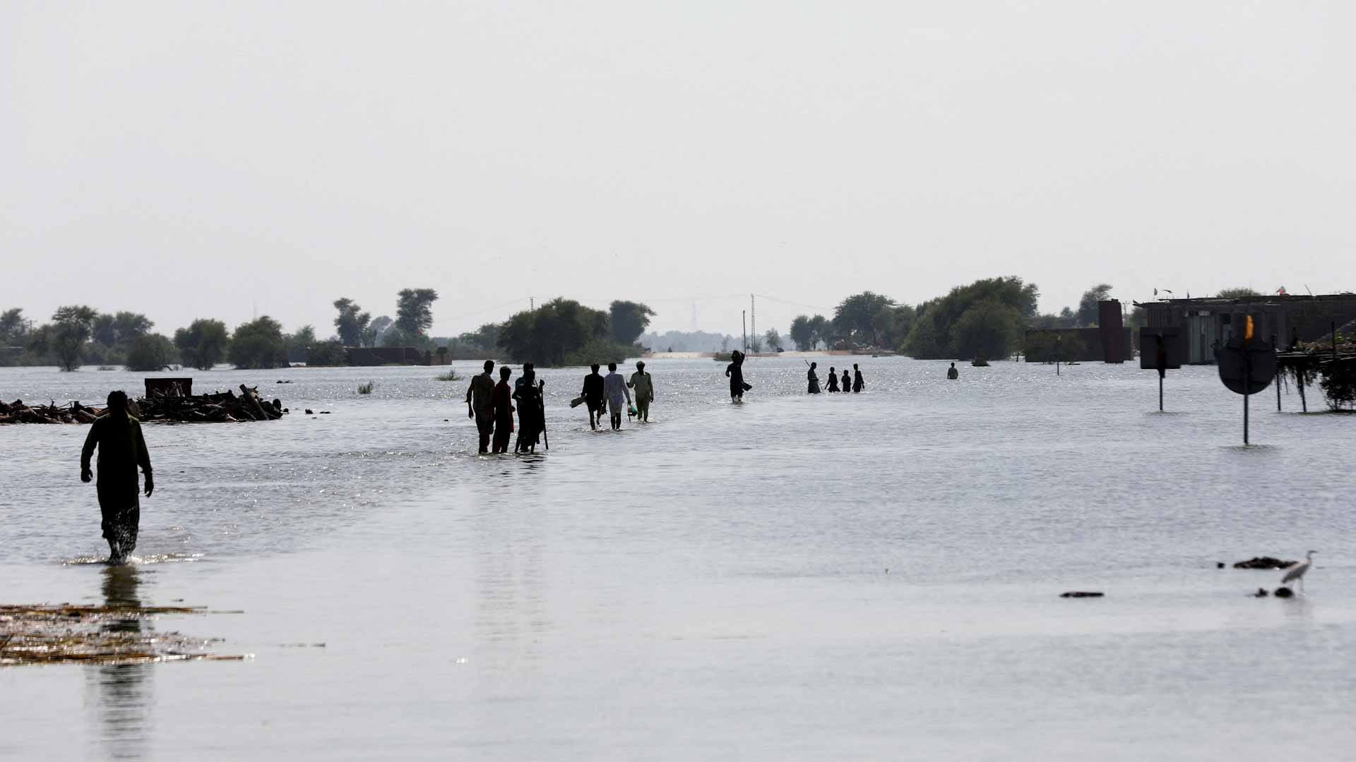 صورة بعنوان: القوات الباكستانية تنقذ 2000 مواطن تقطعت بهم السبل  