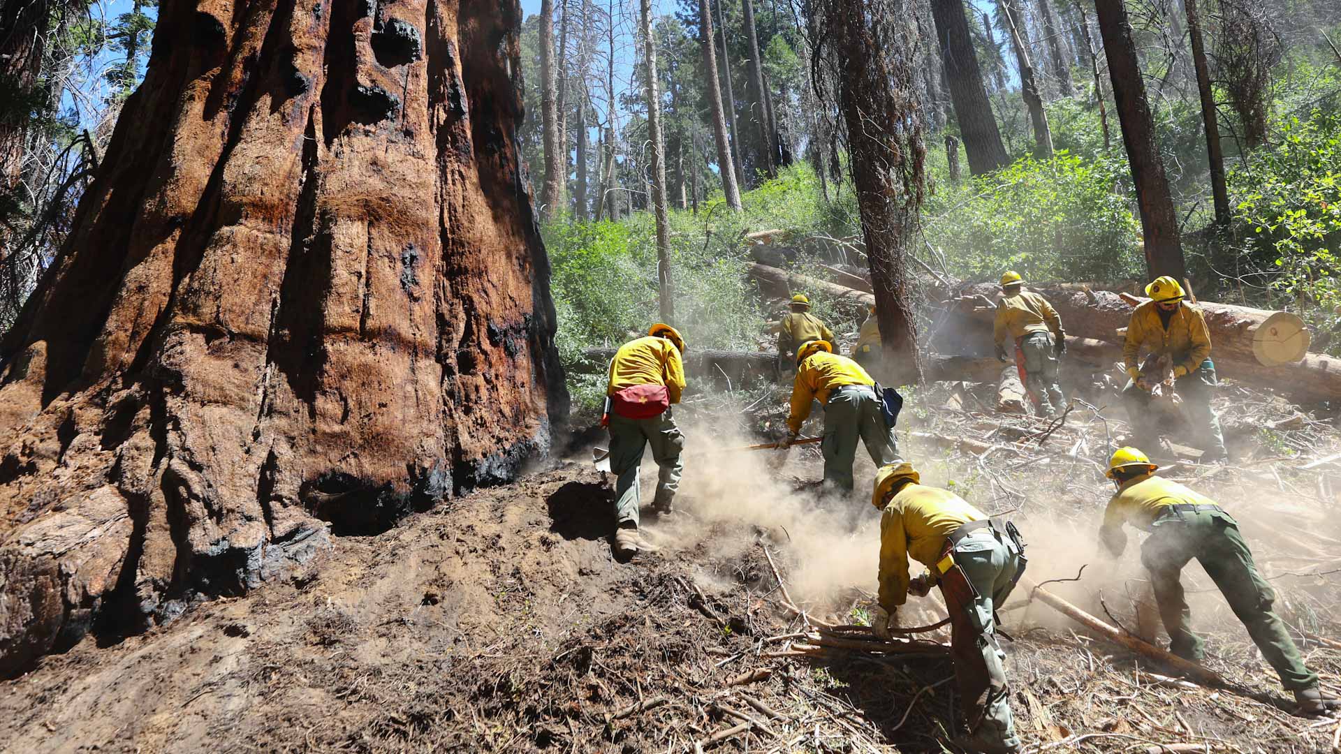 Image for the title: Thousands told to evacuate as rapid wildfire spreads in California 