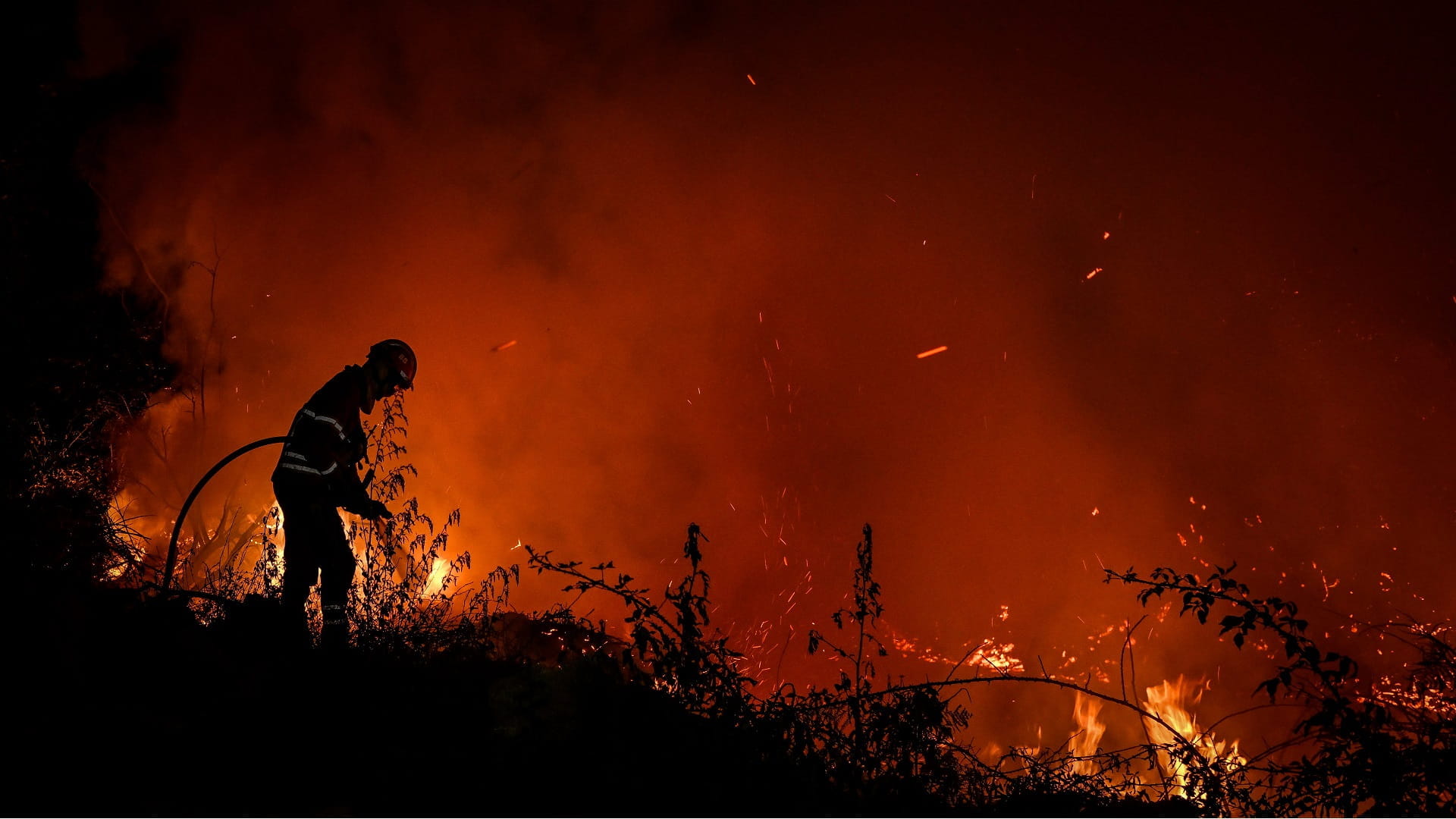 Image for the title: EU plans to build firefighting fleet faster after summer crises 