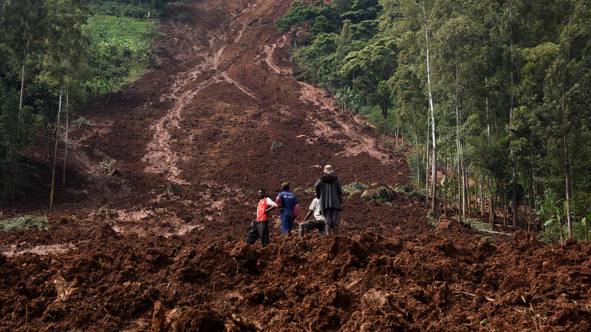 Image for the title: Children among 15 dead in Uganda landslide 