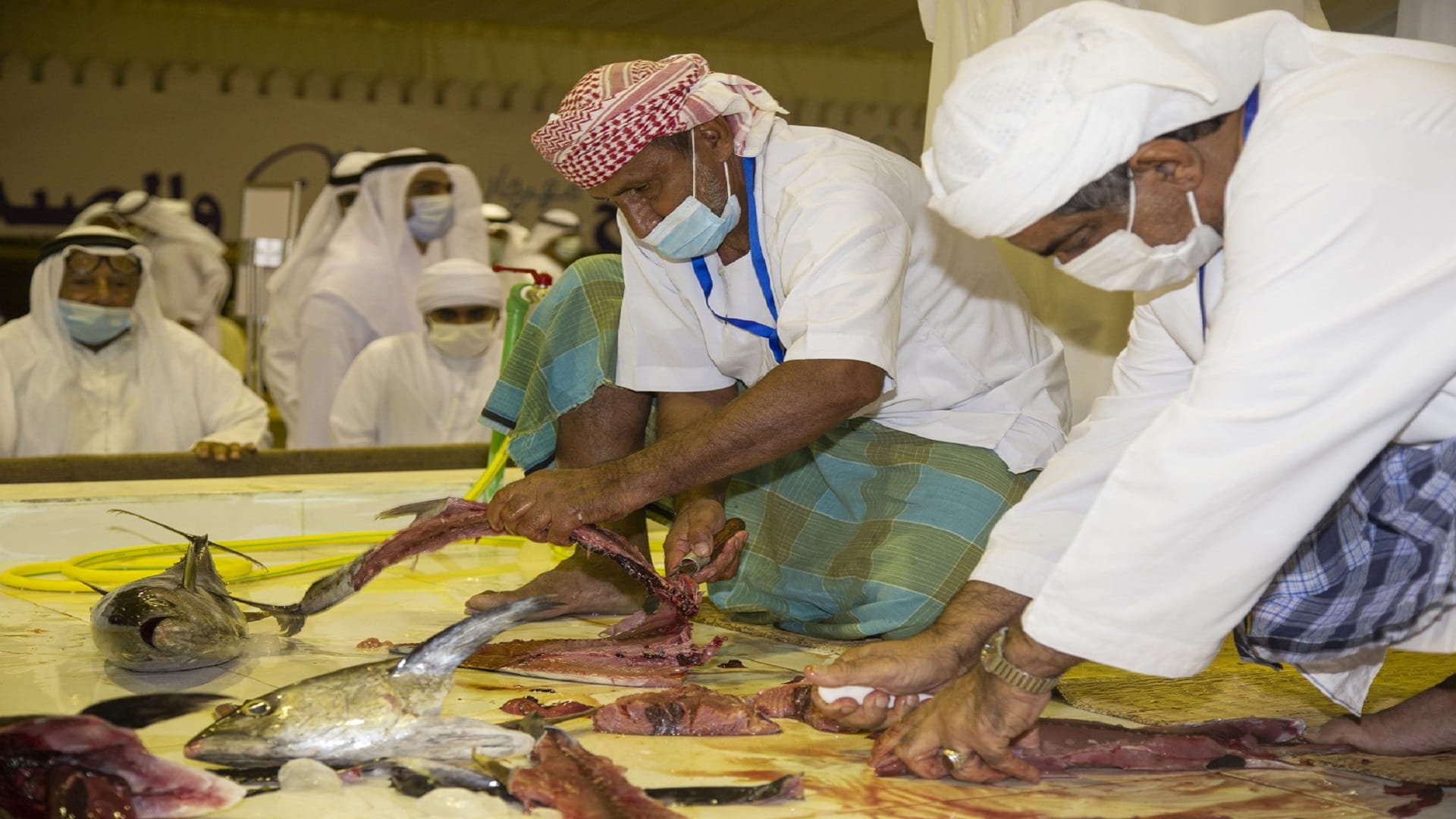 Image for the title: Al Maleh & Fishing Festival to commence Thursday at Dibba Al Hisn 