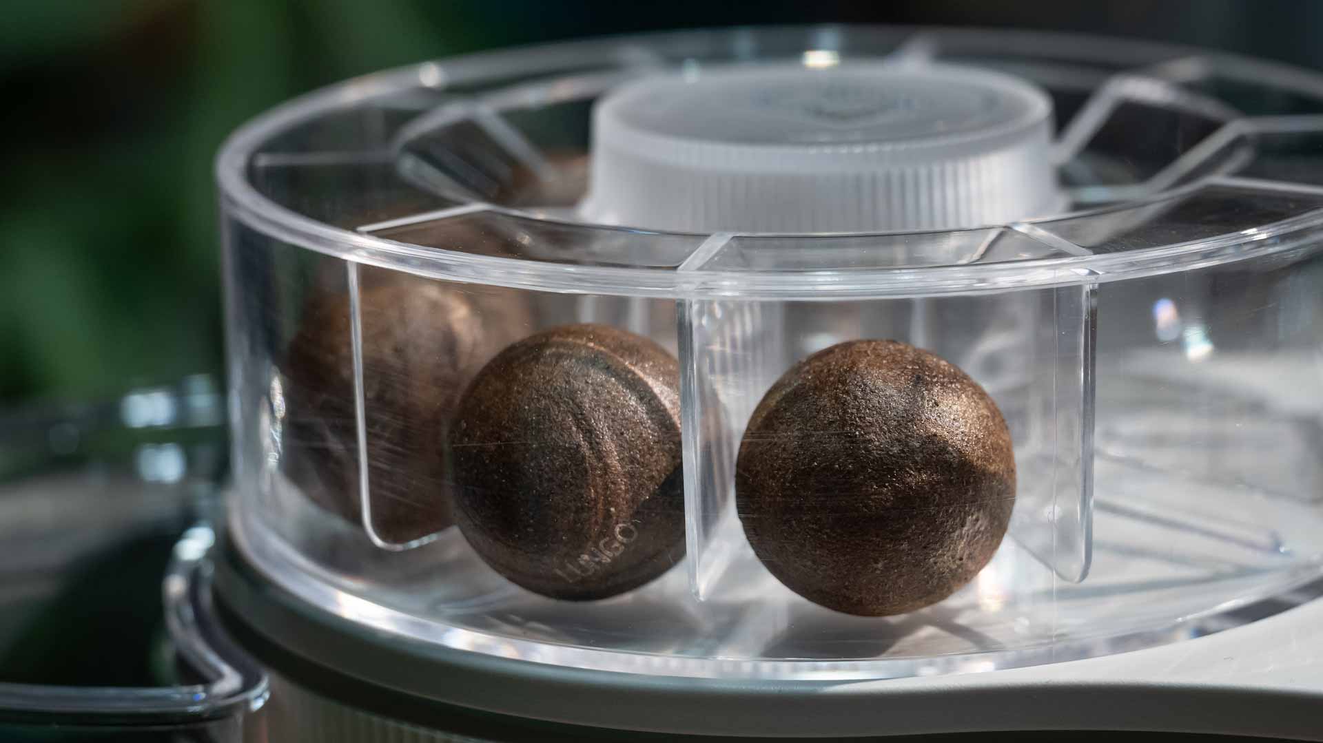 Image for the title: 100% compostable coffee balls bid to take on Nespresso 