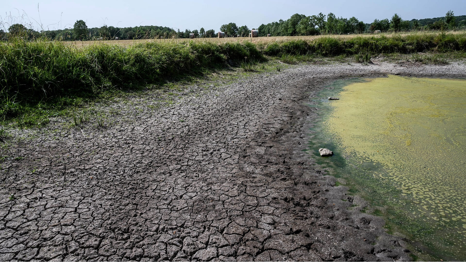 Image for the title: 2022 Europe's hottest summer on record 