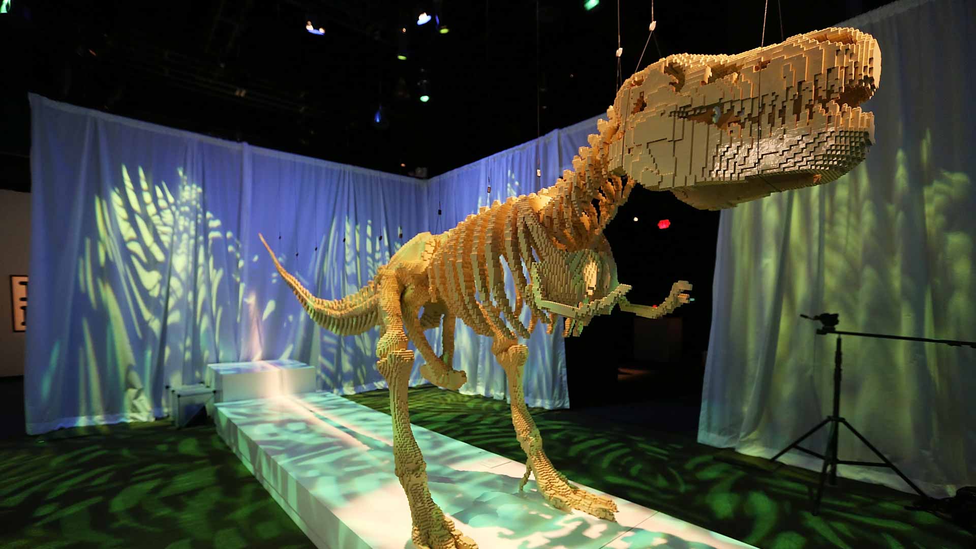 Image for the title: What caused holes in Sue the T. rex's jawbone? 