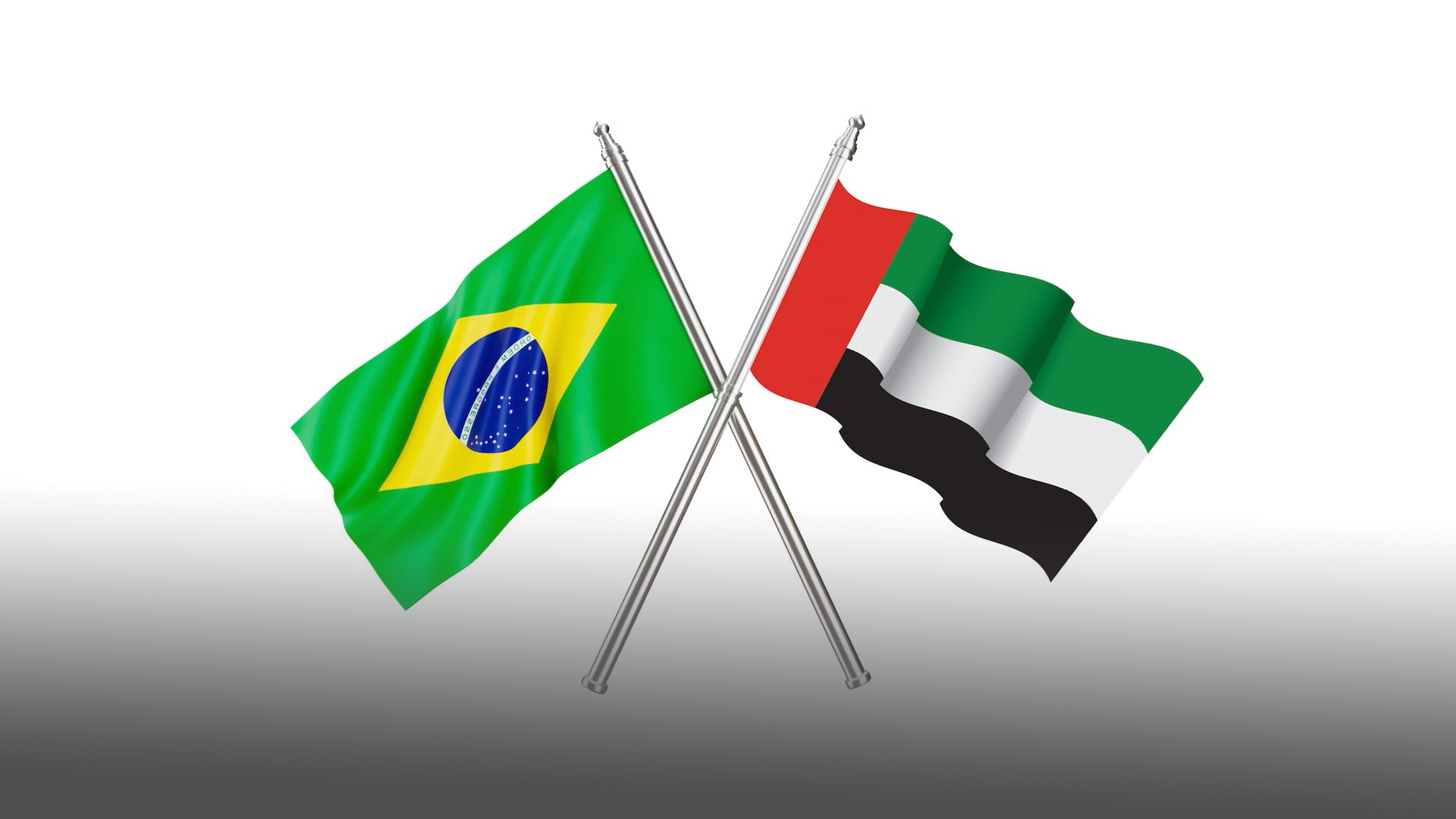 Image for the title: UAE, Brazil issue joint statement after visit of Pres. of Brazil 