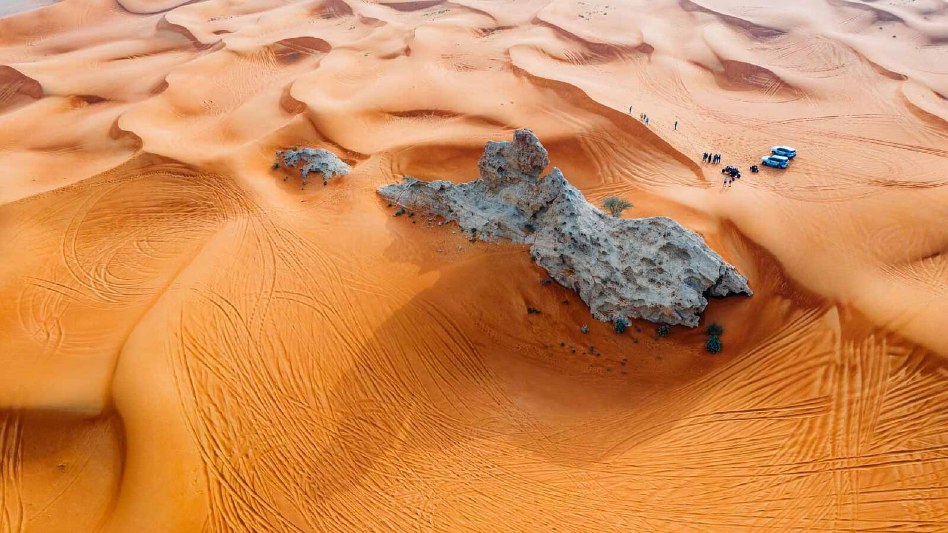 Image for the title: Sharjah to highlight thriving Sustainable Eco-tourism sector 