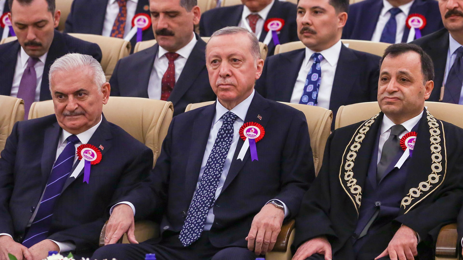 Image for the title: Erdogan appears on TV for first time since falling ill 