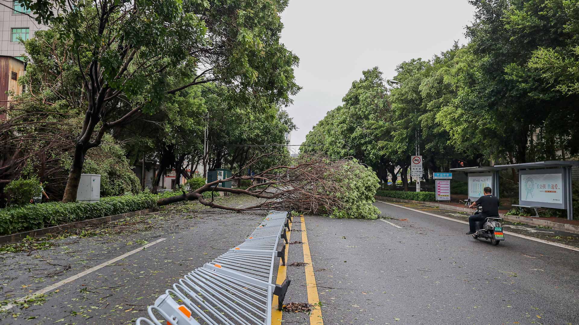 Image for the title: China's northeast inundated in Doksuri's wake 